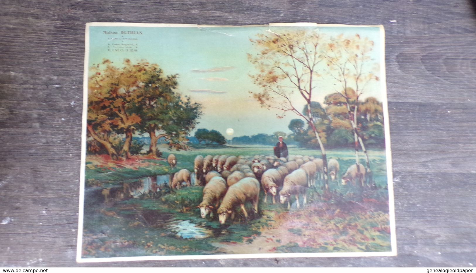 87- LIMOGES- GRANDE CHROMO LITHO MAGASIN DETHIAS IMPRIMERIE PAPETERIE-4 COURS BUGEAUD- SCENE PATURAGE LIMOUSINE MOUTONS - Sonstige & Ohne Zuordnung