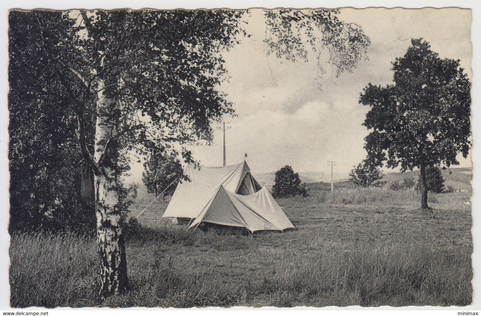 Cartephoto - Erezée - Terrain De Camping - Erezée