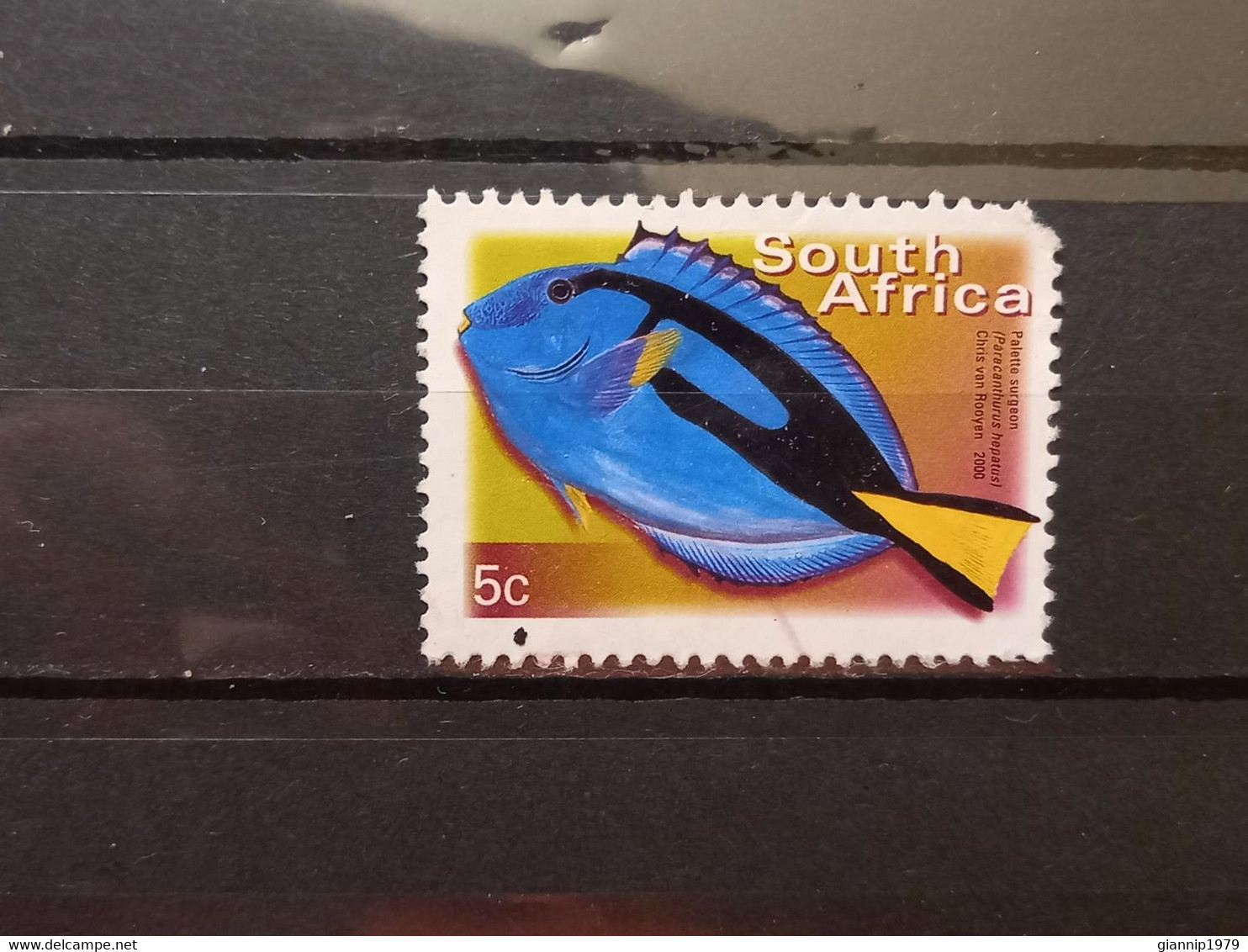 FRANCOBOLLI STAMPS SUD AFRICA SOUTH SUID 2000 USED SERIE PESCI FISH OBLITERE' - Usados