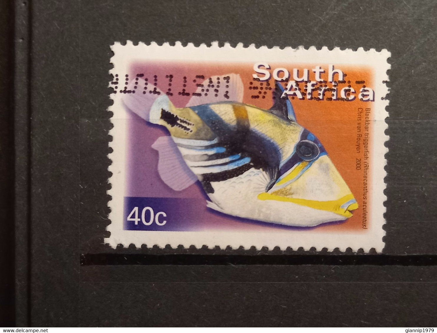 FRANCOBOLLI STAMPS SUD AFRICA SOUTH SUID 2000 USED SERIE PESCI FISH OBLITERE' - Oblitérés