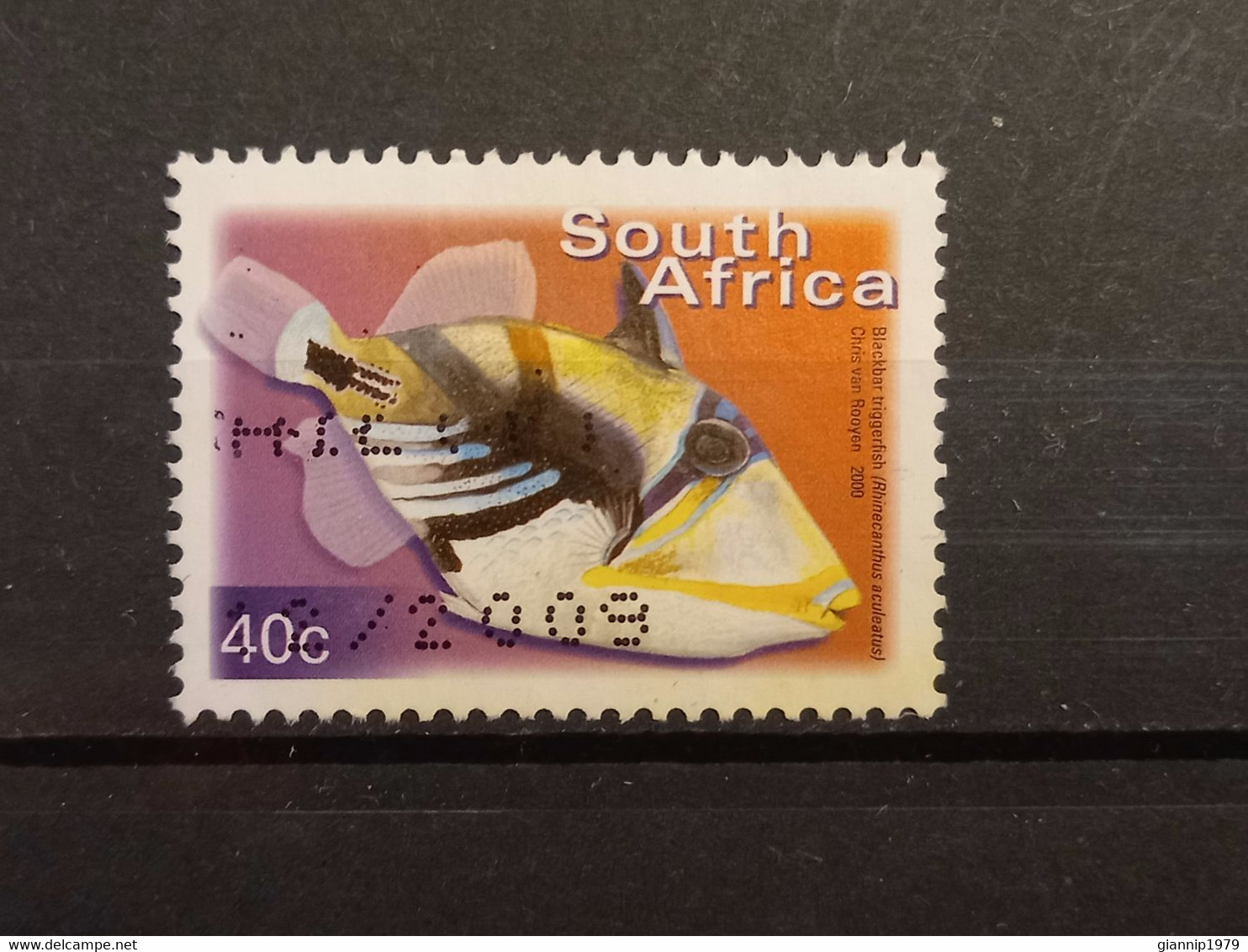 FRANCOBOLLI STAMPS SUD AFRICA SOUTH SUID 2000 USED SERIE PESCI FISH OBLITERE' - Gebruikt