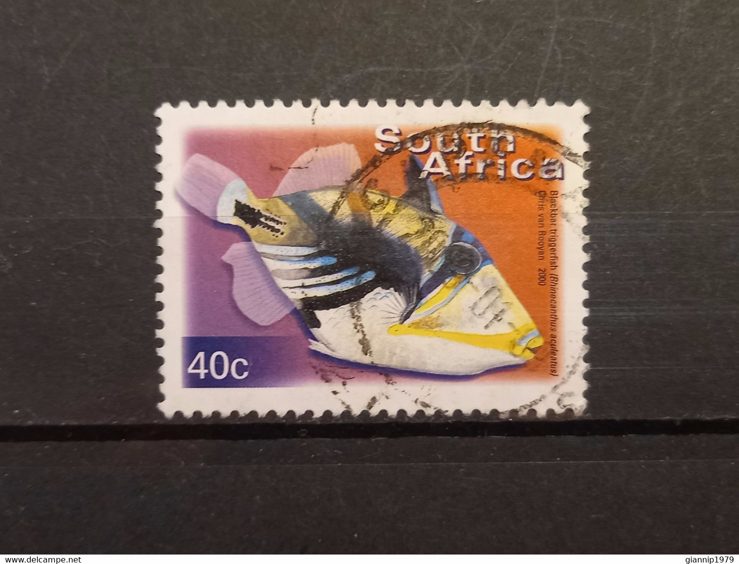 FRANCOBOLLI STAMPS SUD AFRICA SOUTH SUID 2000 USED SERIE PESCI FISH OBLITERE' - Oblitérés