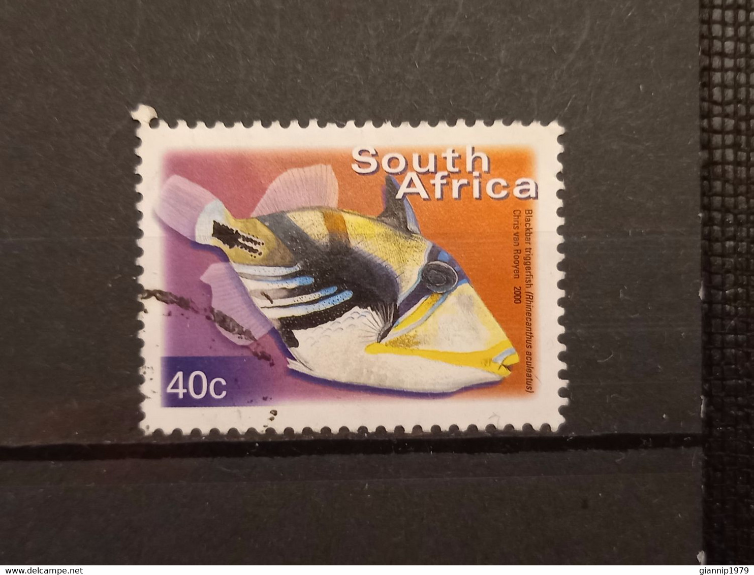 FRANCOBOLLI STAMPS SUD AFRICA SOUTH SUID 2000 USED SERIE PESCI FISH OBLITERE' - Gebraucht