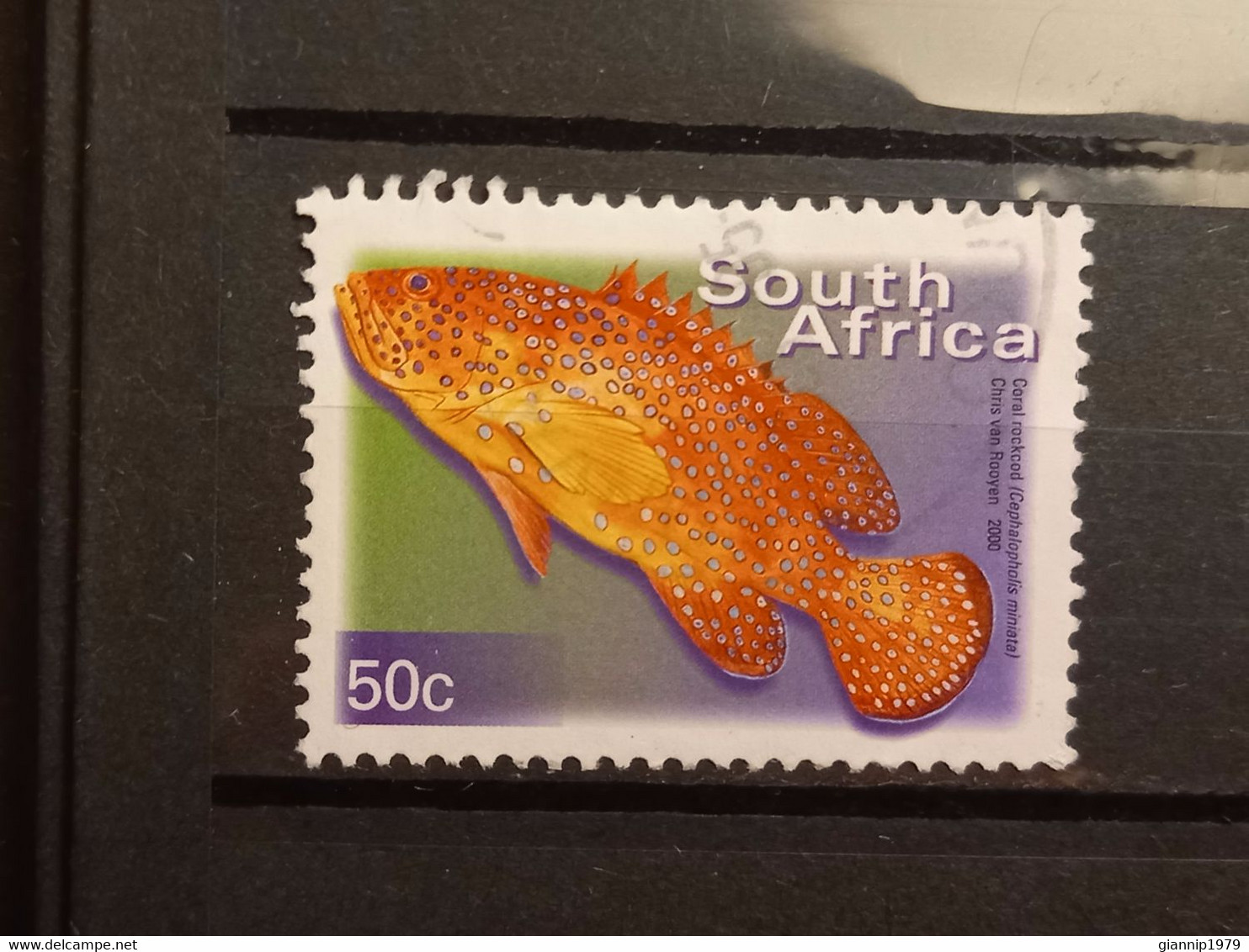 FRANCOBOLLI STAMPS SUD AFRICA SOUTH SUID 2000 USED SERIE PESCI FISH OBLITERE' - Gebruikt