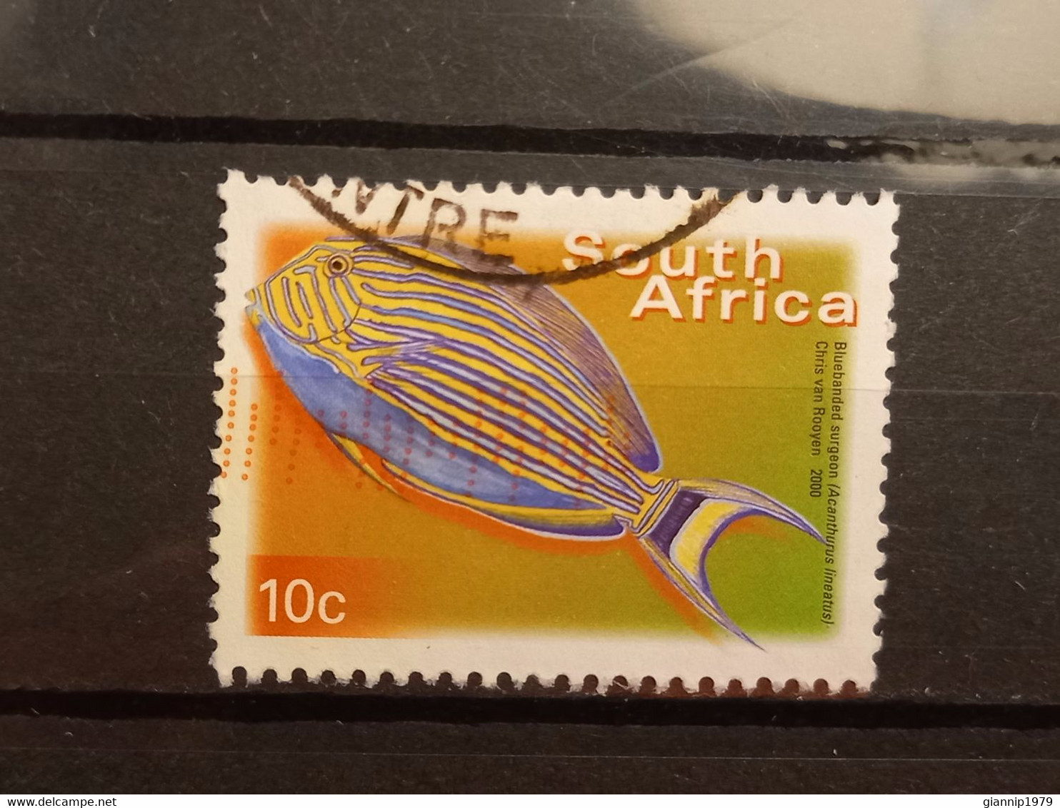 FRANCOBOLLI STAMPS SUD AFRICA SOUTH SUID 2000 USED SERIE PESCI FISH OBLITERE' - Used Stamps