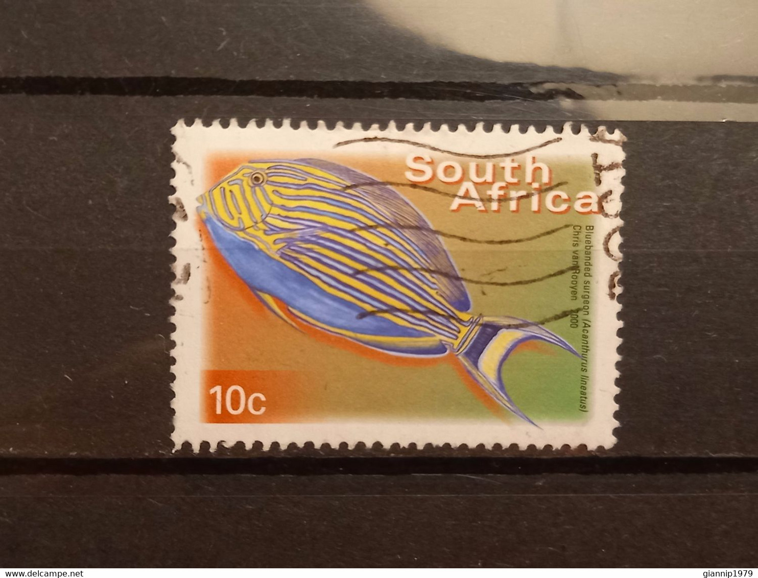 FRANCOBOLLI STAMPS SUD AFRICA SOUTH SUID 2000 USED SERIE PESCI FISH OBLITERE' - Usados