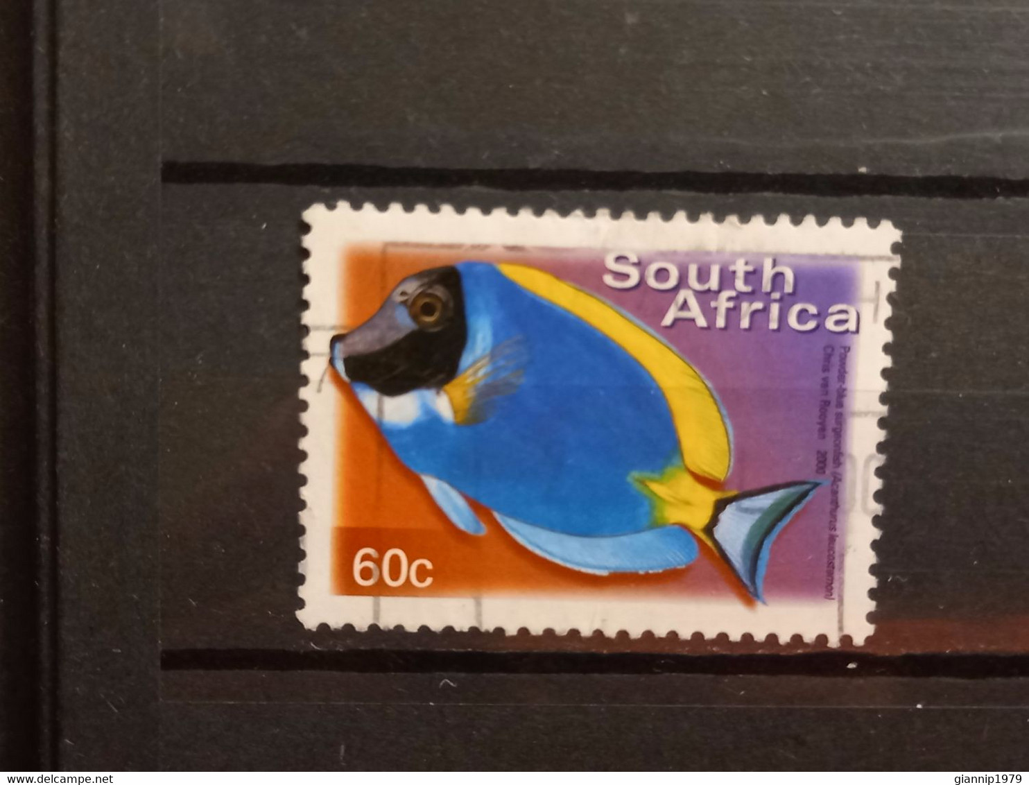 FRANCOBOLLI STAMPS SUD AFRICA SOUTH SUID 2000 USED SERIE PESCI FISH OBLITERE' - Oblitérés