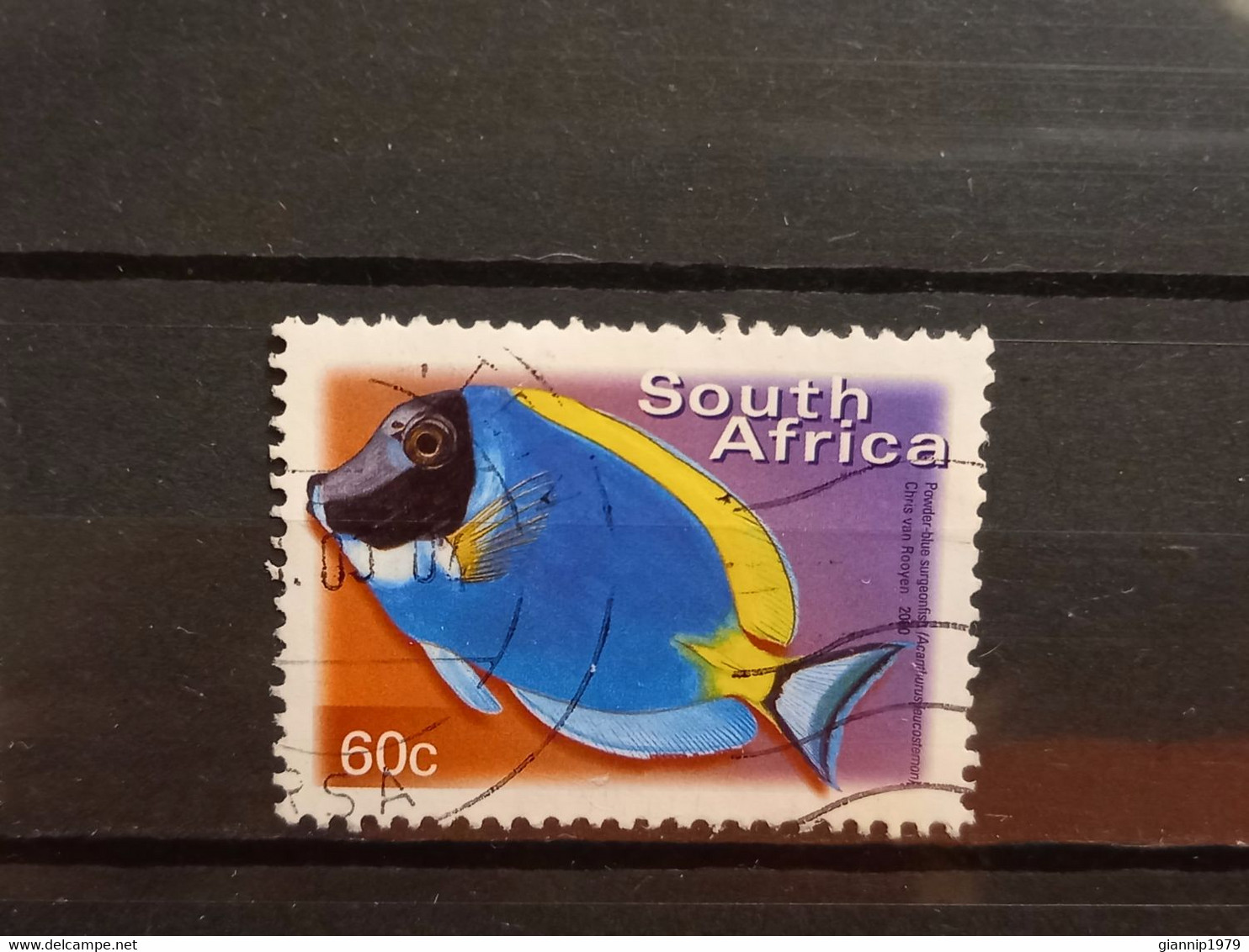 FRANCOBOLLI STAMPS SUD AFRICA SOUTH SUID 2000 USED SERIE PESCI FISH OBLITERE' - Oblitérés