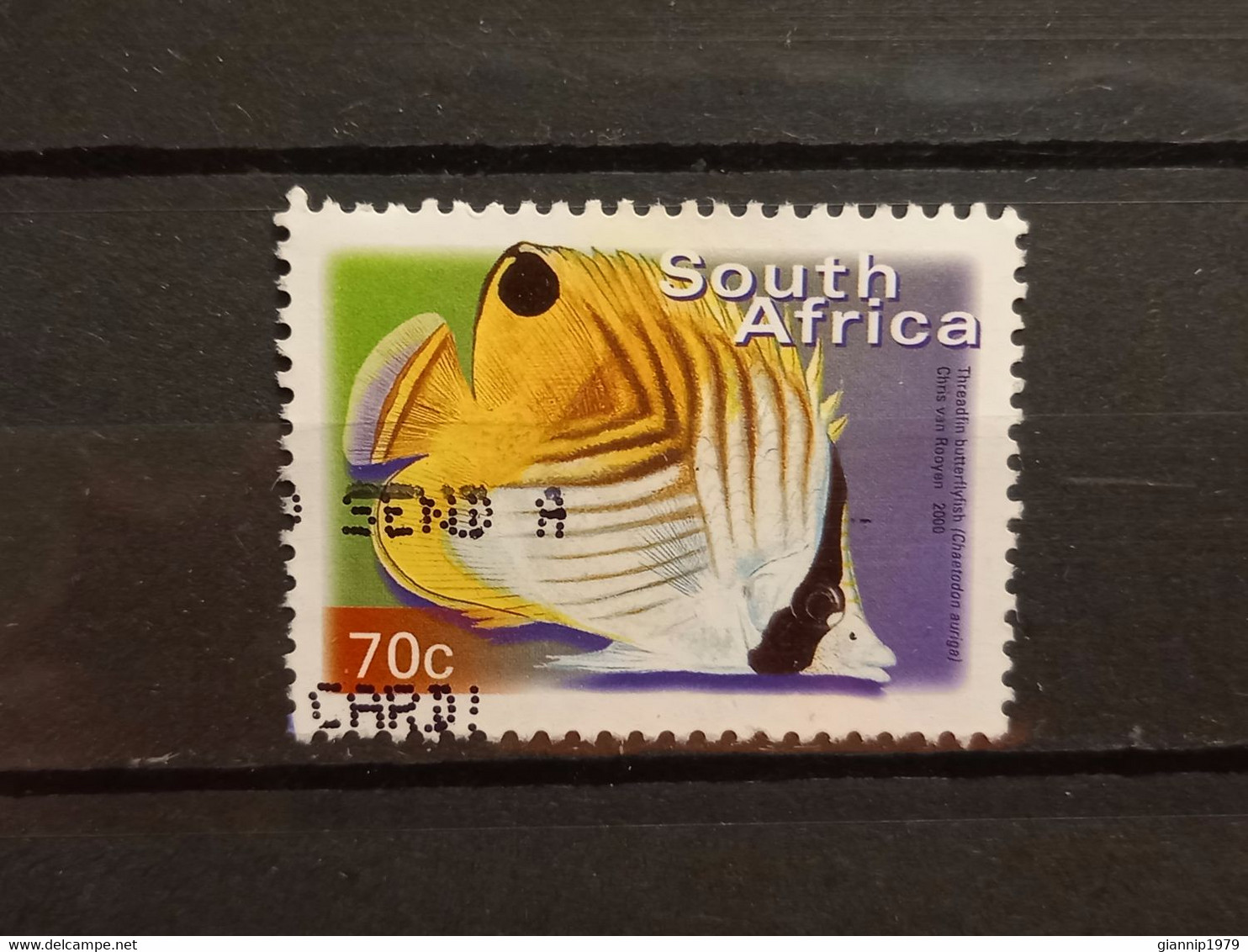 FRANCOBOLLI STAMPS SUD AFRICA SOUTH SUID 2000 USED SERIE PESCI FISH OBLITERE' - Used Stamps