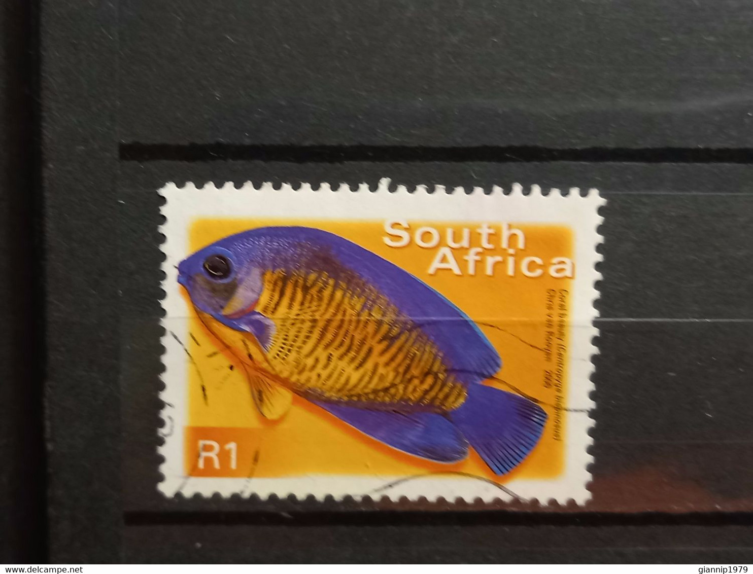 FRANCOBOLLI STAMPS SUD AFRICA SOUTH SUID 2000 USED SERIE PESCI FISH OBLITERE' - Gebraucht