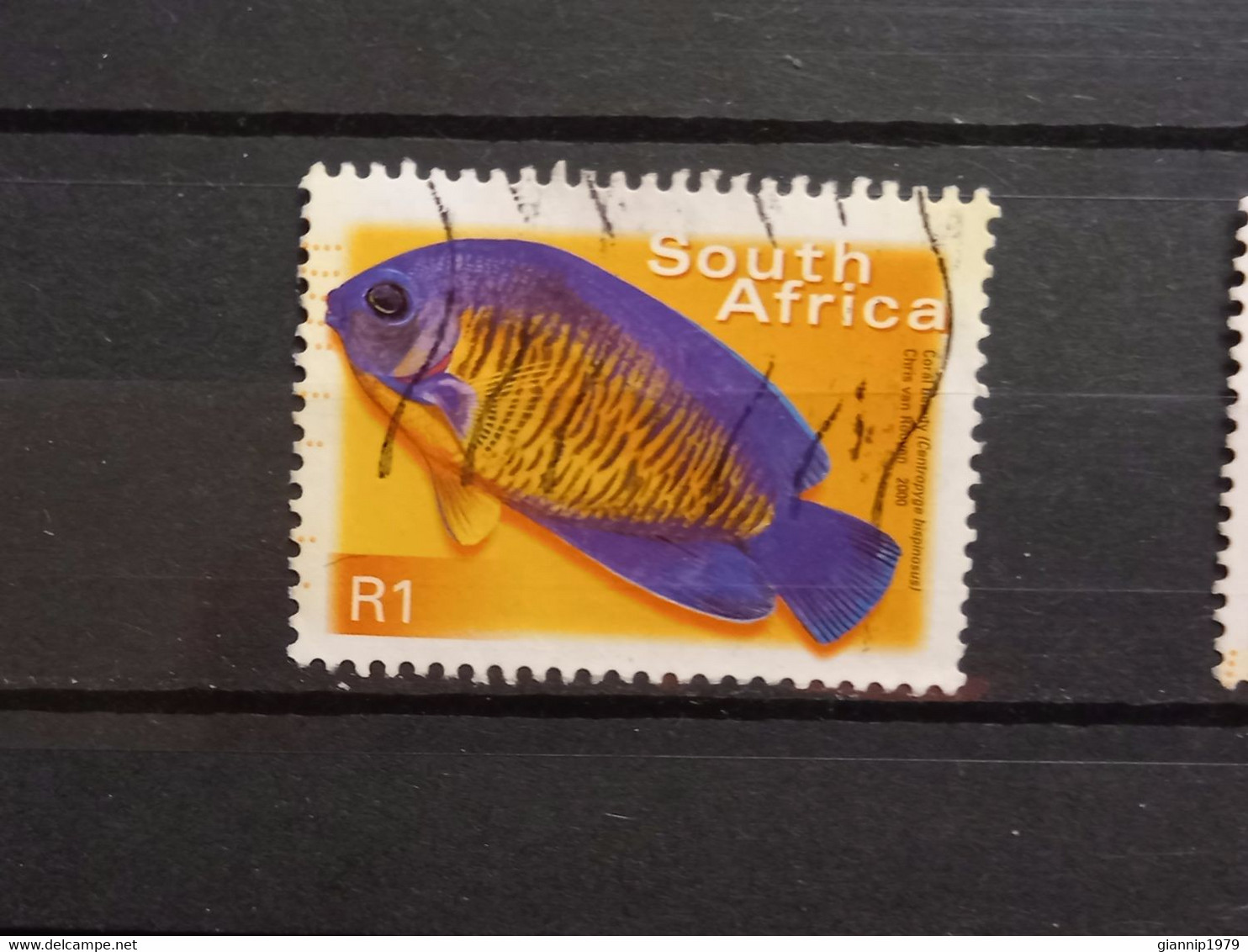 FRANCOBOLLI STAMPS SUD AFRICA SOUTH SUID 2000 USED SERIE PESCI FISH OBLITERE' - Usados