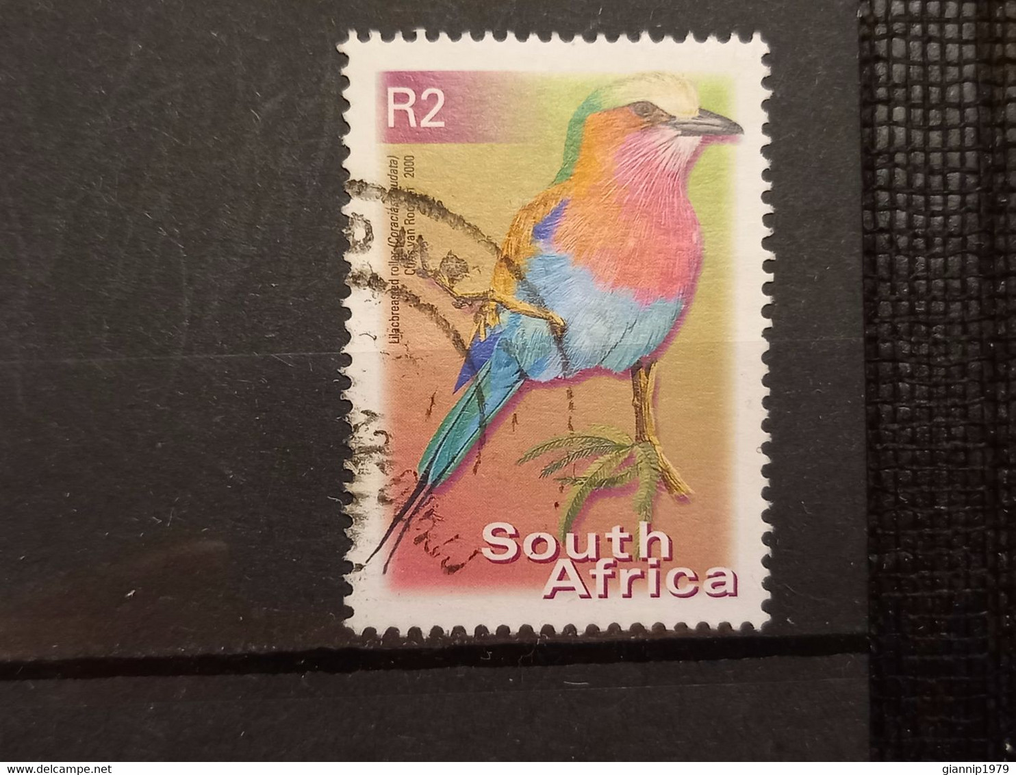 FRANCOBOLLI STAMPS SUD AFRICA SOUTH SUID 2000 USED SERIE  UCCELLI BIRDS OBLITERE' - Oblitérés