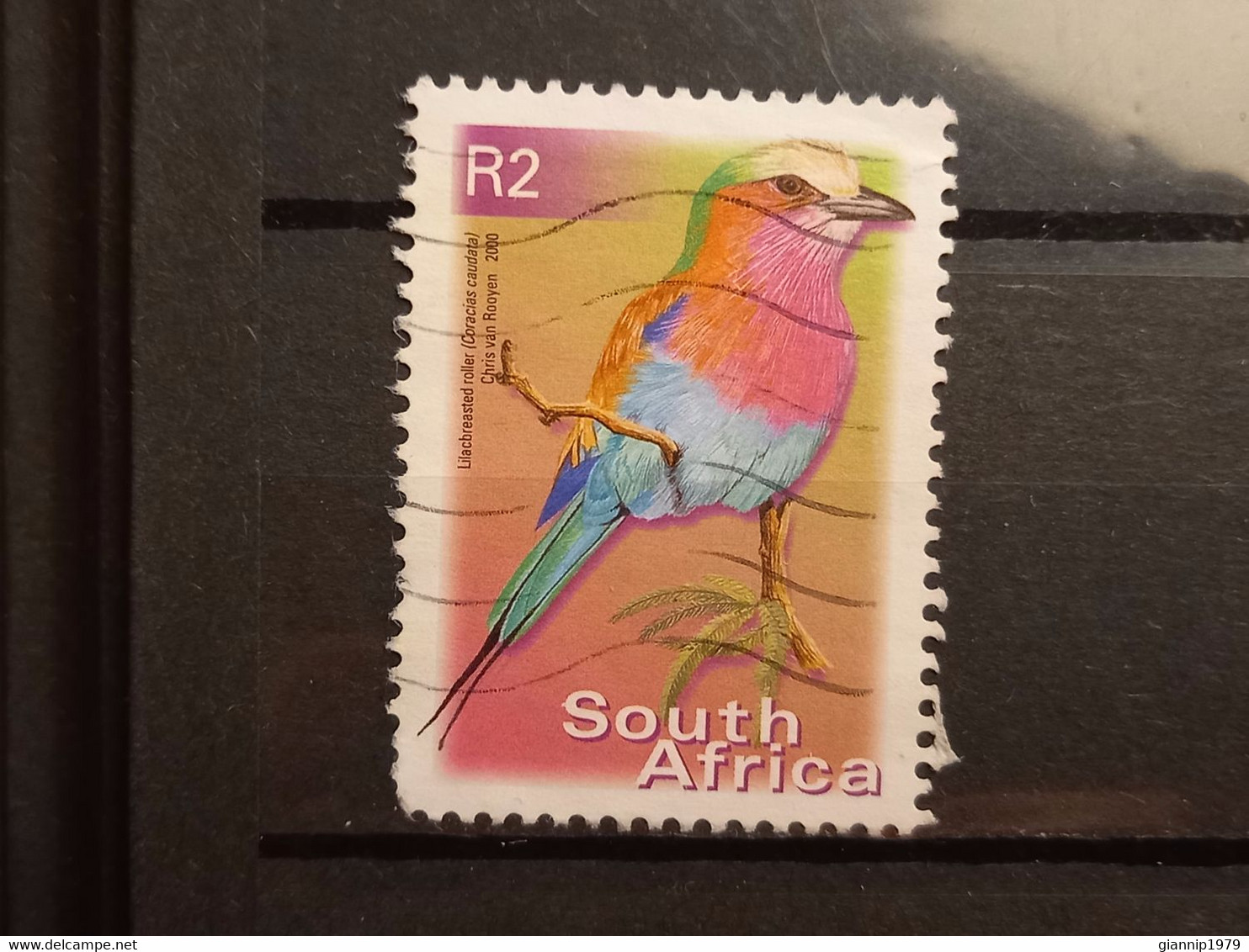 FRANCOBOLLI STAMPS SUD AFRICA SOUTH SUID 2000 USED SERIE  UCCELLI BIRDS OBLITERE' - Usados