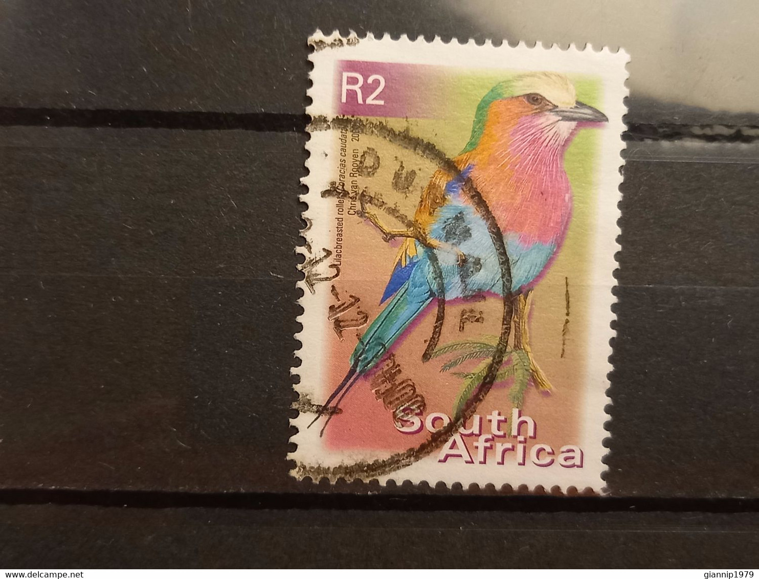 FRANCOBOLLI STAMPS SUD AFRICA SOUTH SUID 2000 USED SERIE  UCCELLI BIRDS OBLITERE' - Oblitérés