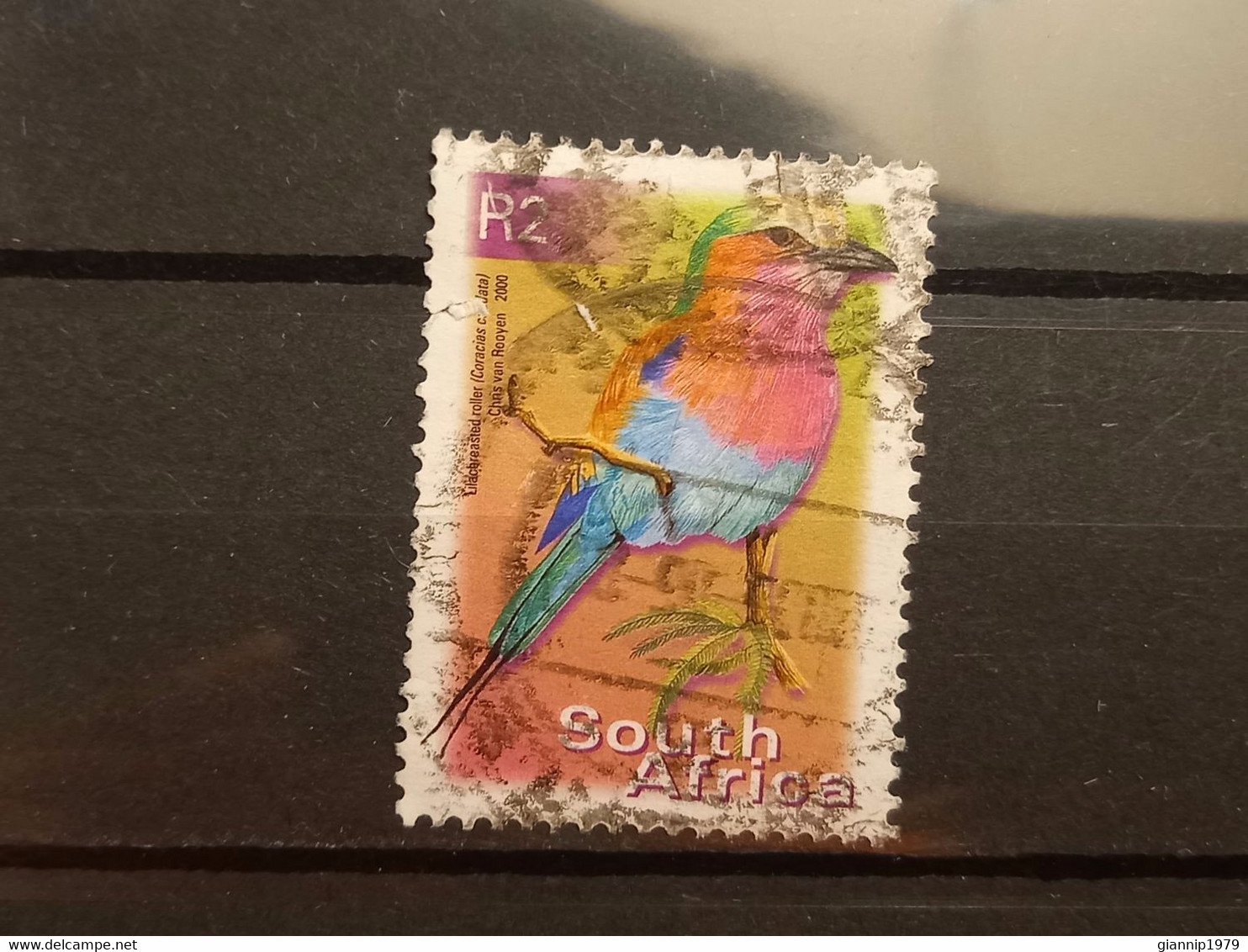 FRANCOBOLLI STAMPS SUD AFRICA SOUTH SUID 2000 USED SERIE  UCCELLI BIRDS OBLITERE' - Usados