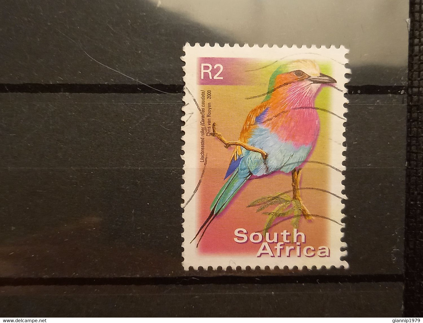 FRANCOBOLLI STAMPS SUD AFRICA SOUTH SUID 2000 USED SERIE  UCCELLI BIRDS OBLITERE' - Gebruikt