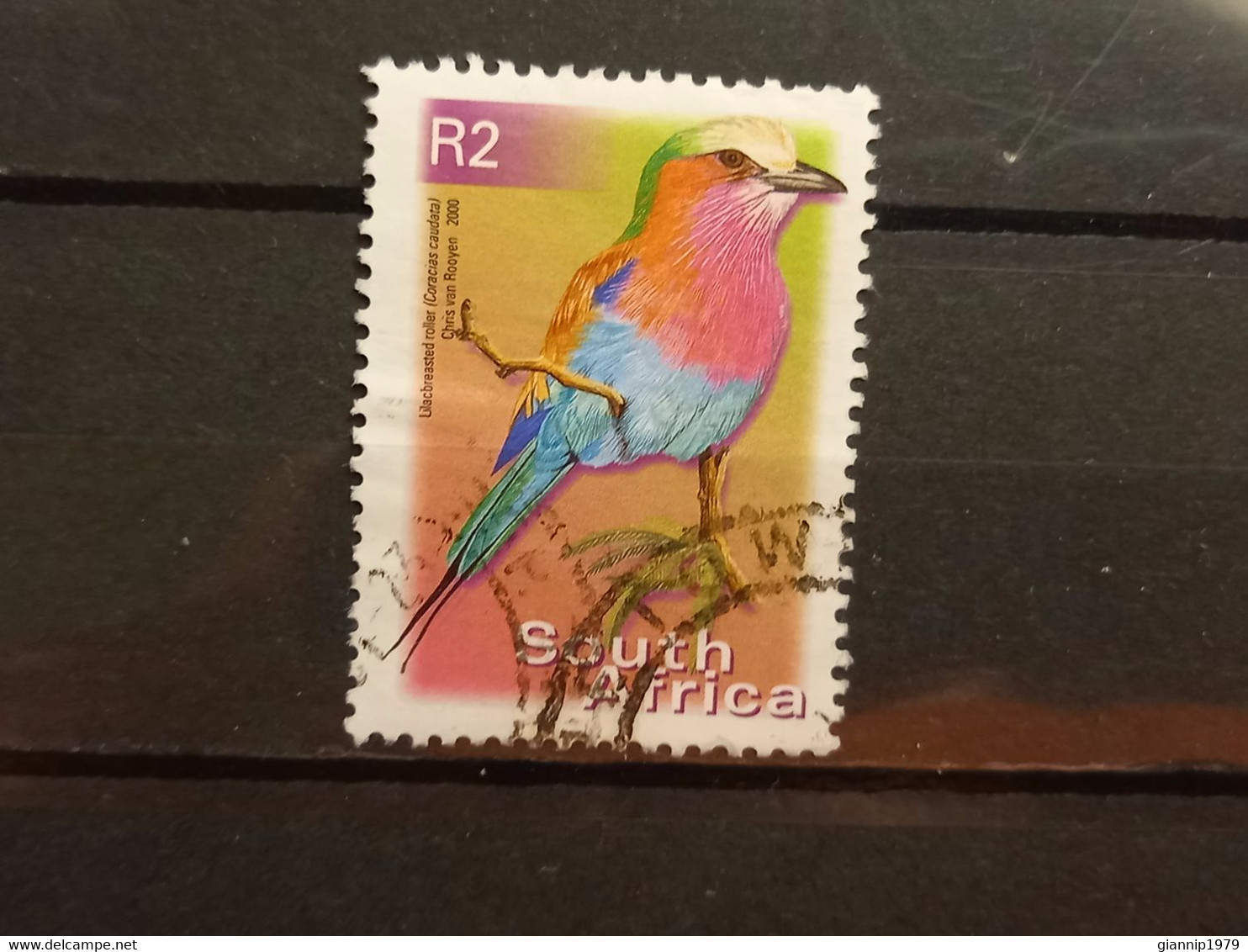 FRANCOBOLLI STAMPS SUD AFRICA SOUTH SUID 2000 USED SERIE  UCCELLI BIRDS OBLITERE' - Usados