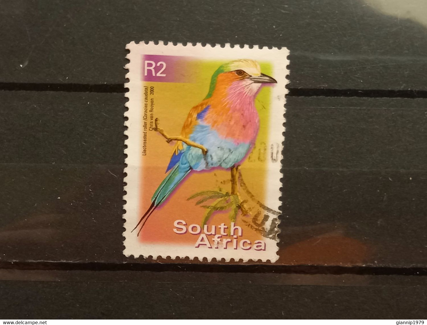 FRANCOBOLLI STAMPS SUD AFRICA SOUTH SUID 2000 USED SERIE  UCCELLI BIRDS OBLITERE' - Usados