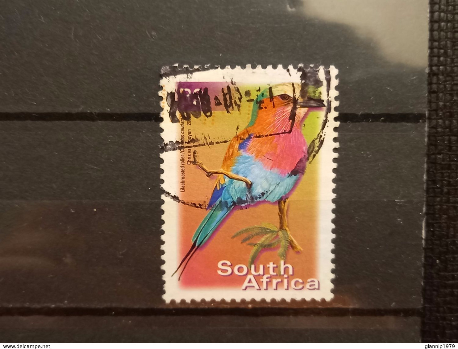 FRANCOBOLLI STAMPS SUD AFRICA SOUTH SUID 2000 USED SERIE  UCCELLI BIRDS OBLITERE' - Usados