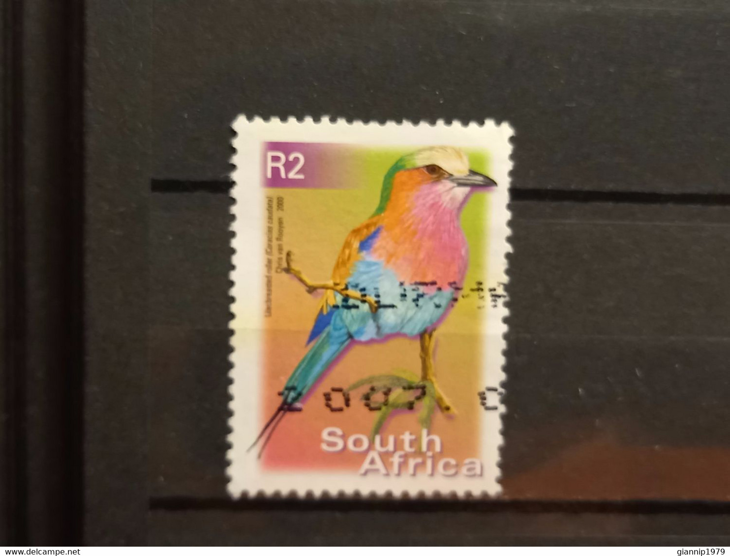 FRANCOBOLLI STAMPS SUD AFRICA SOUTH SUID 2000 USED SERIE  UCCELLI BIRDS OBLITERE' - Oblitérés