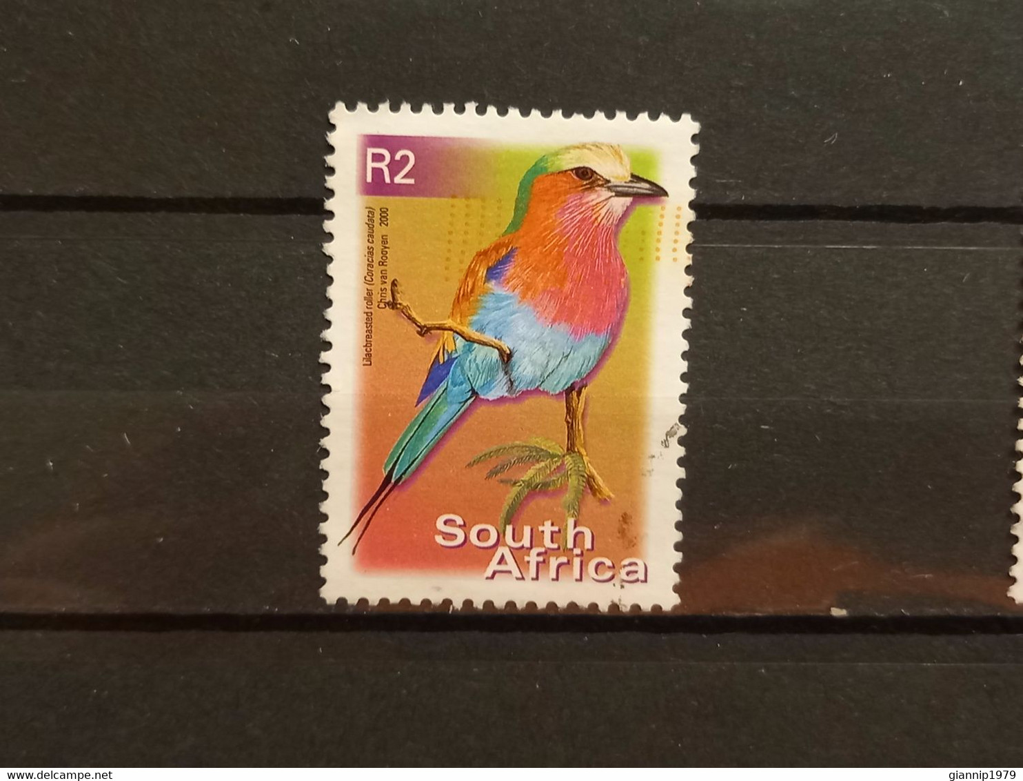 FRANCOBOLLI STAMPS SUD AFRICA SOUTH SUID 2000 USED SERIE  UCCELLI BIRDS OBLITERE' - Gebraucht