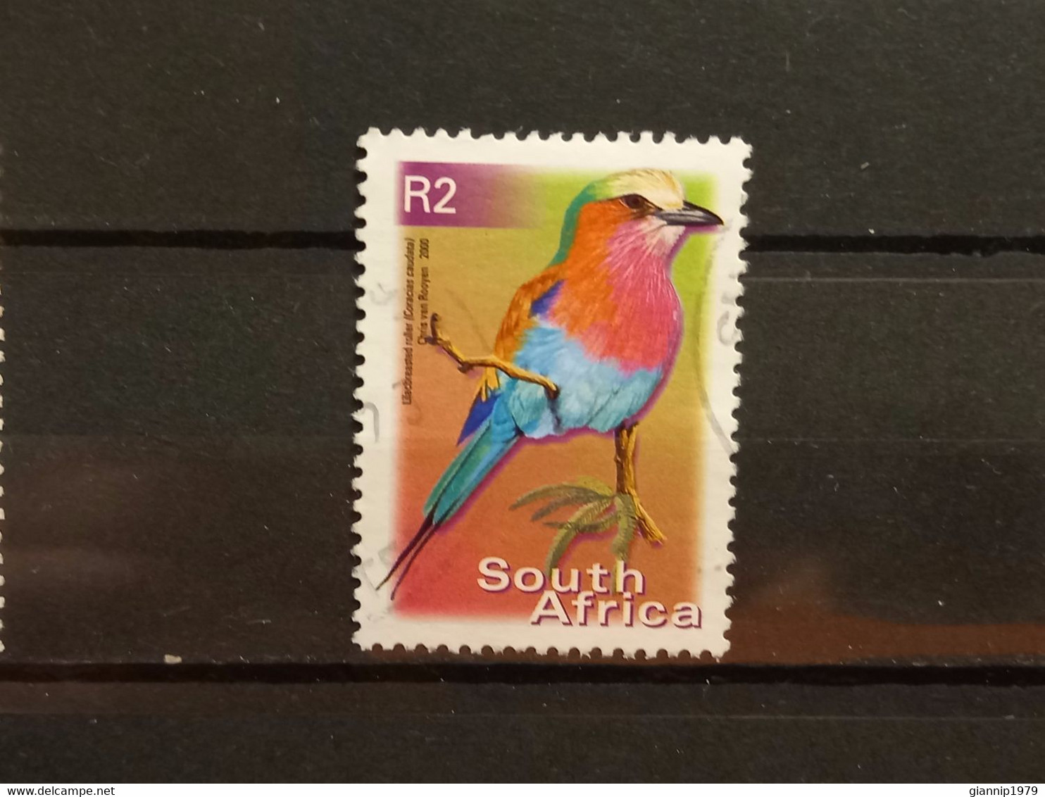 FRANCOBOLLI STAMPS SUD AFRICA SOUTH SUID 2000 USED SERIE  UCCELLI BIRDS OBLITERE' - Usados