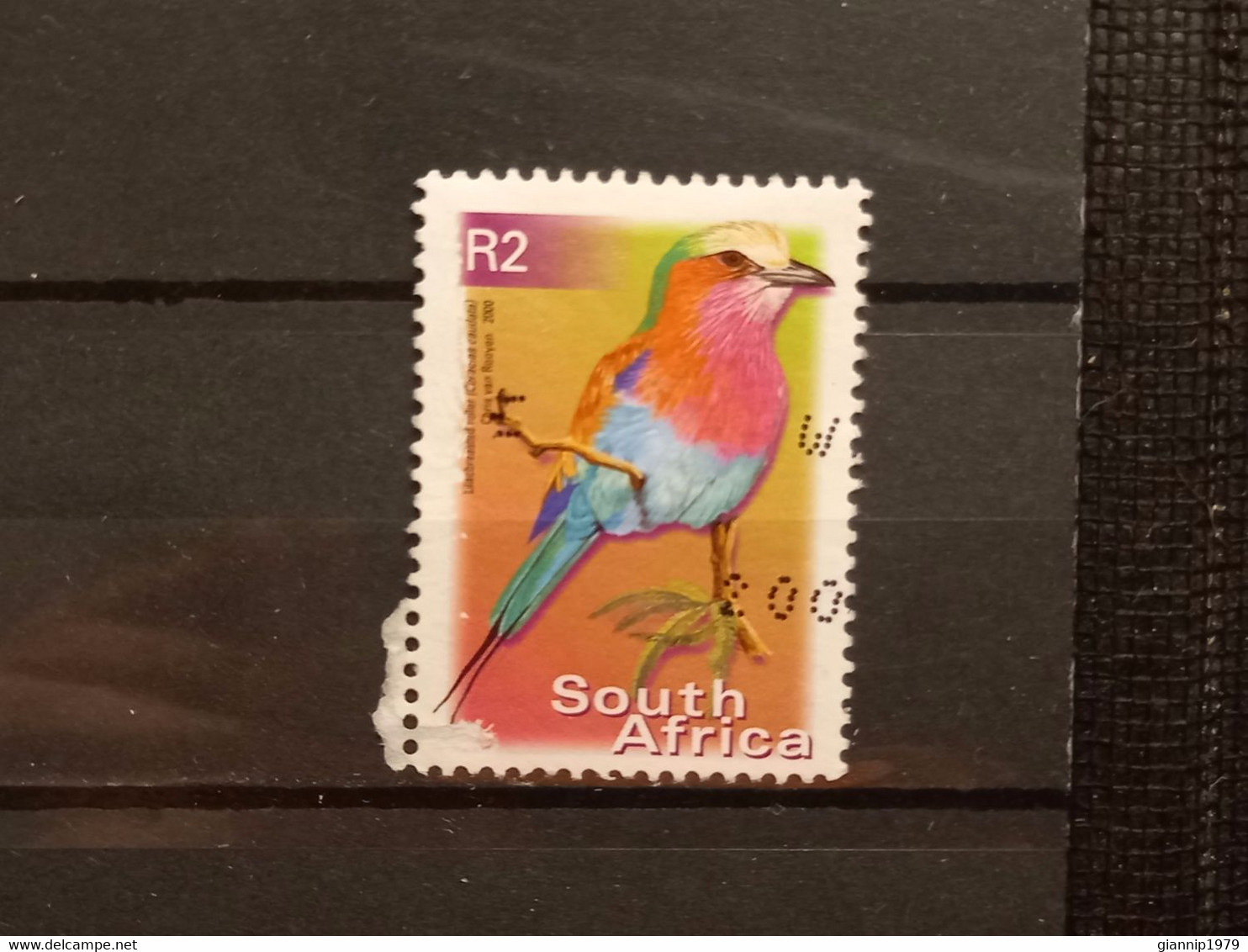 FRANCOBOLLI STAMPS SUD AFRICA SOUTH SUID 2000 USED SERIE  UCCELLI BIRDS OBLITERE' - Gebraucht