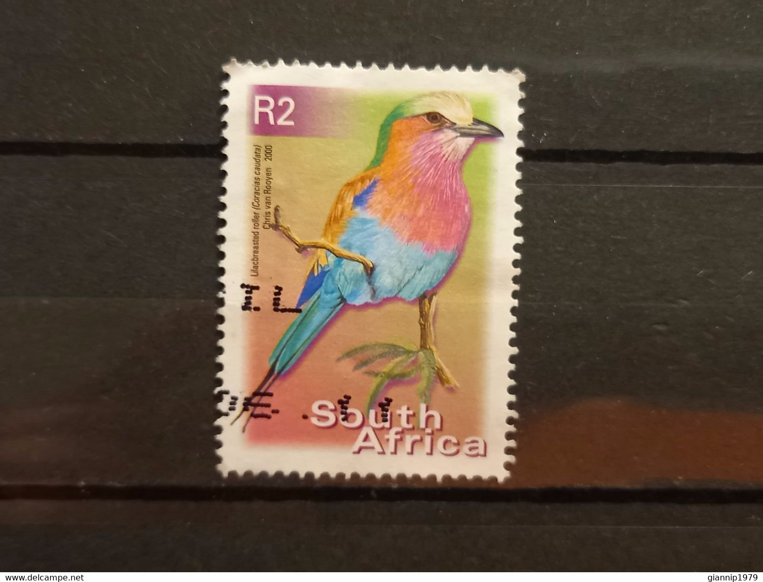 FRANCOBOLLI STAMPS SUD AFRICA SOUTH SUID 2000 USED SERIE  UCCELLI BIRDS OBLITERE' - Oblitérés