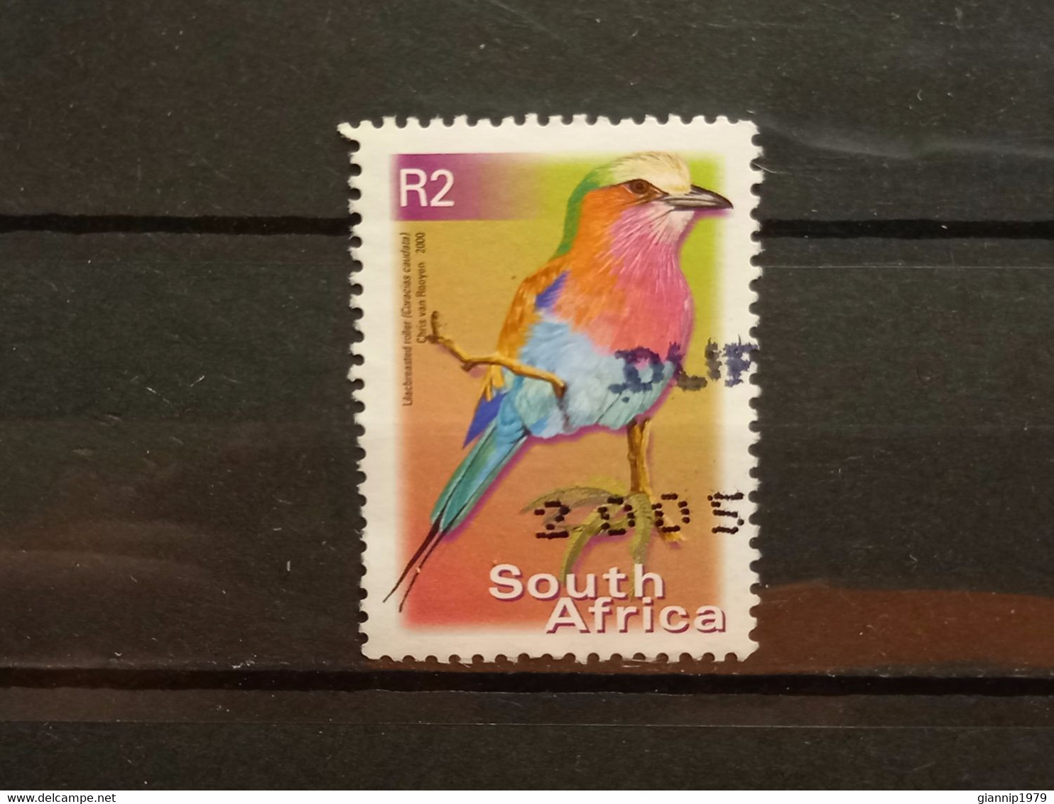 FRANCOBOLLI STAMPS SUD AFRICA SOUTH SUID 2000 USED SERIE  UCCELLI BIRDS OBLITERE' - Oblitérés