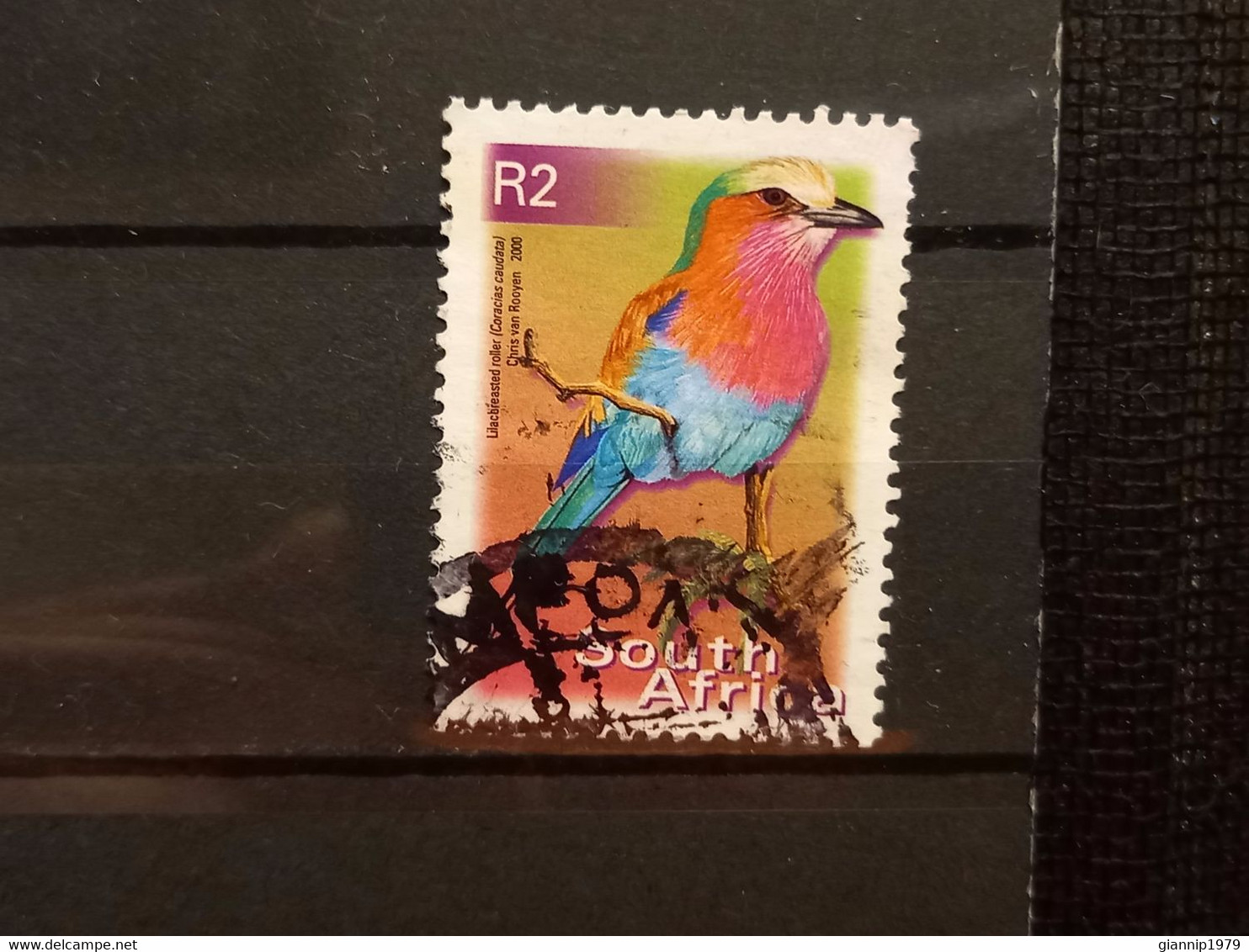 FRANCOBOLLI STAMPS SUD AFRICA SOUTH SUID 2000 USED SERIE  UCCELLI BIRDS OBLITERE' - Oblitérés