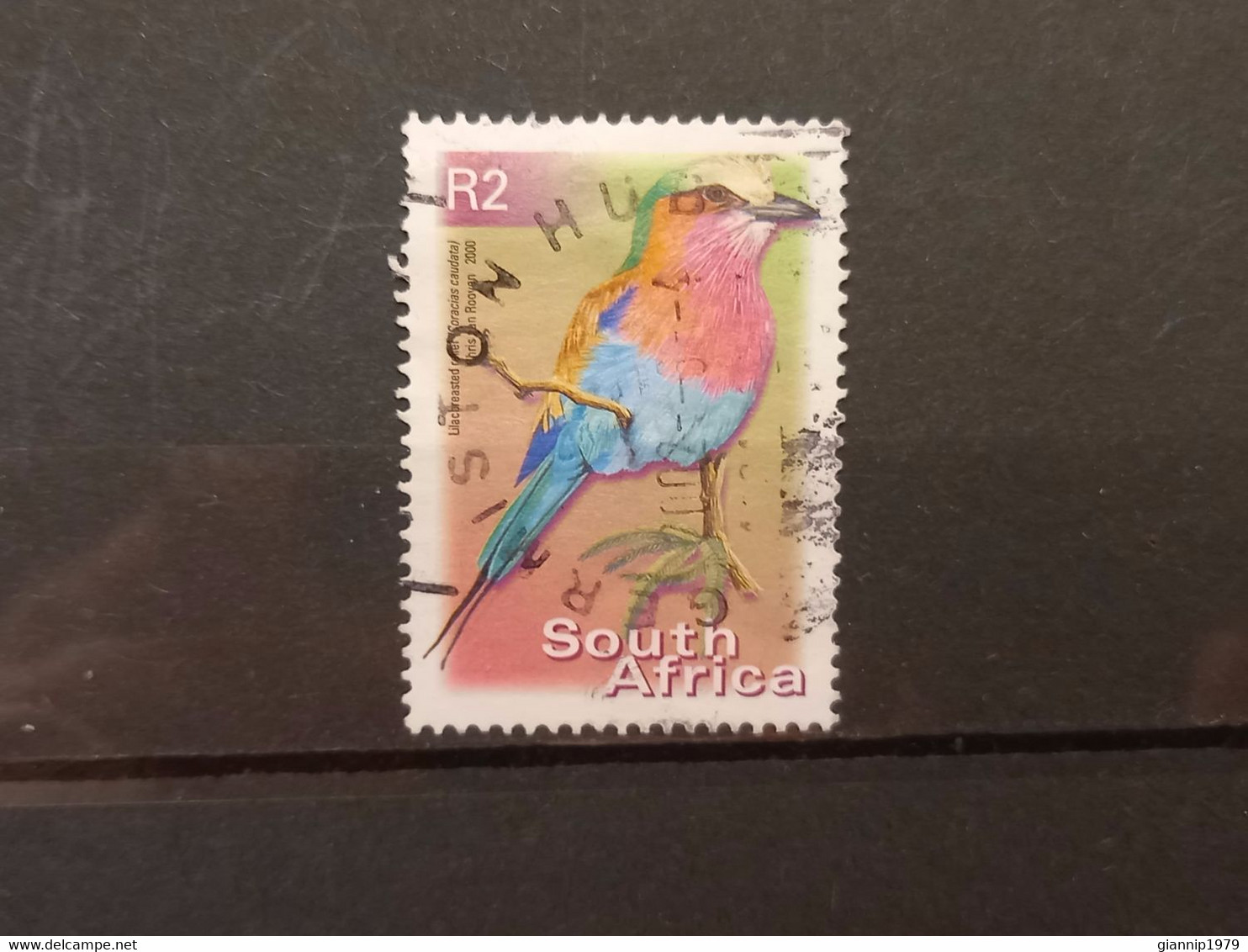 FRANCOBOLLI STAMPS SUD AFRICA SOUTH SUID 2000 USED SERIE  UCCELLI BIRDS OBLITERE' - Usati