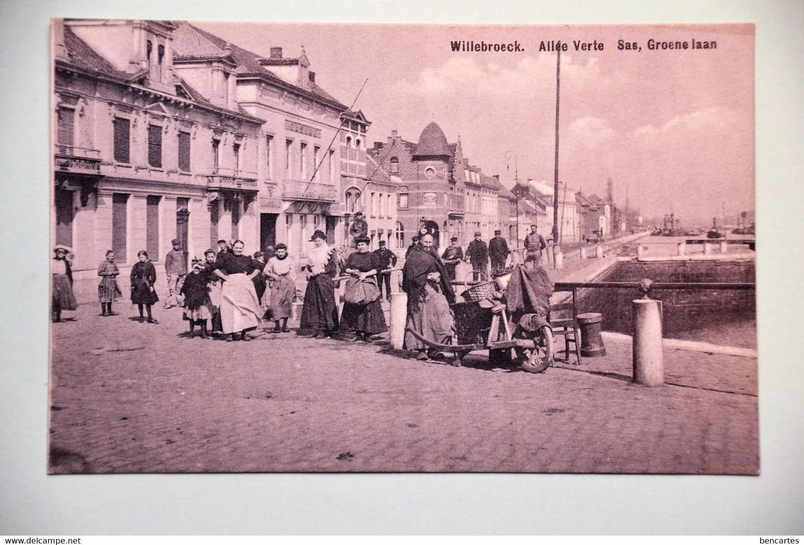 Willebroeck 1910: Allée Verte, Sas, Groene Laan; Rare - Willebroek