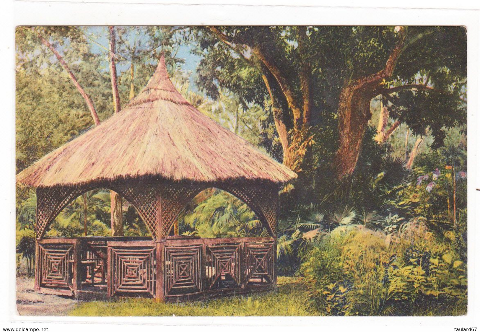 Bel Air Le Petit Kiosque Jardin Botanique Des Pamplemousses - Maurice