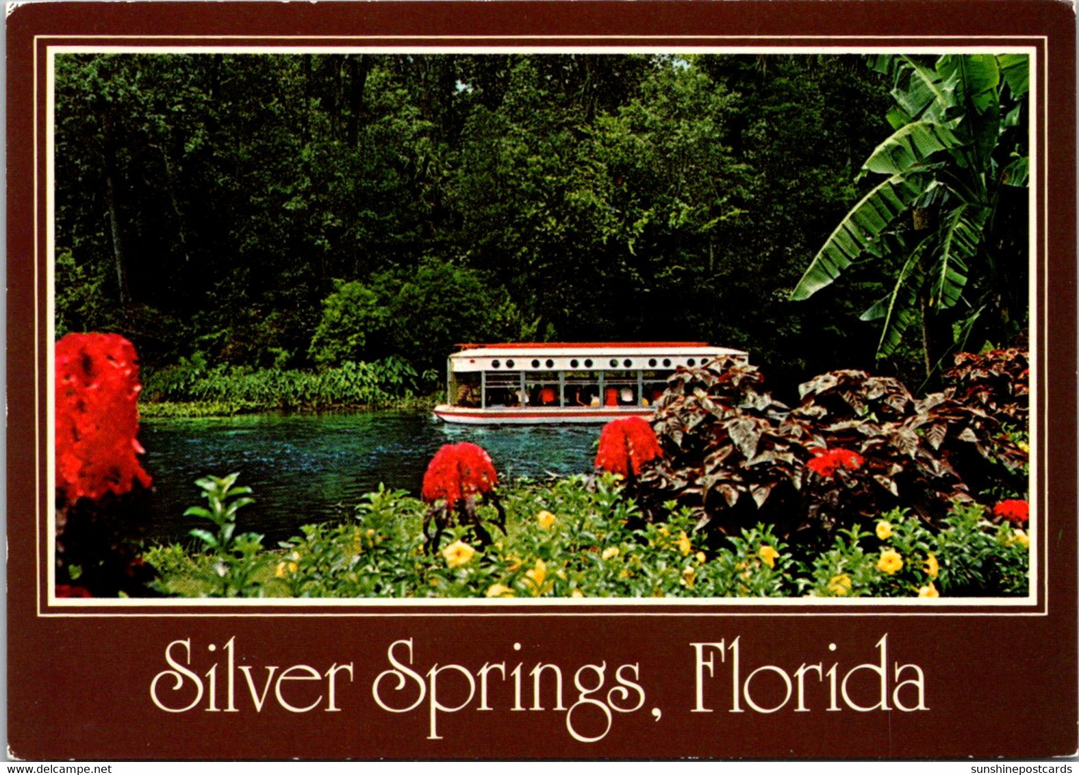 Florida Silver Springs Electrically Propelled Glass Bottom Boat - Silver Springs