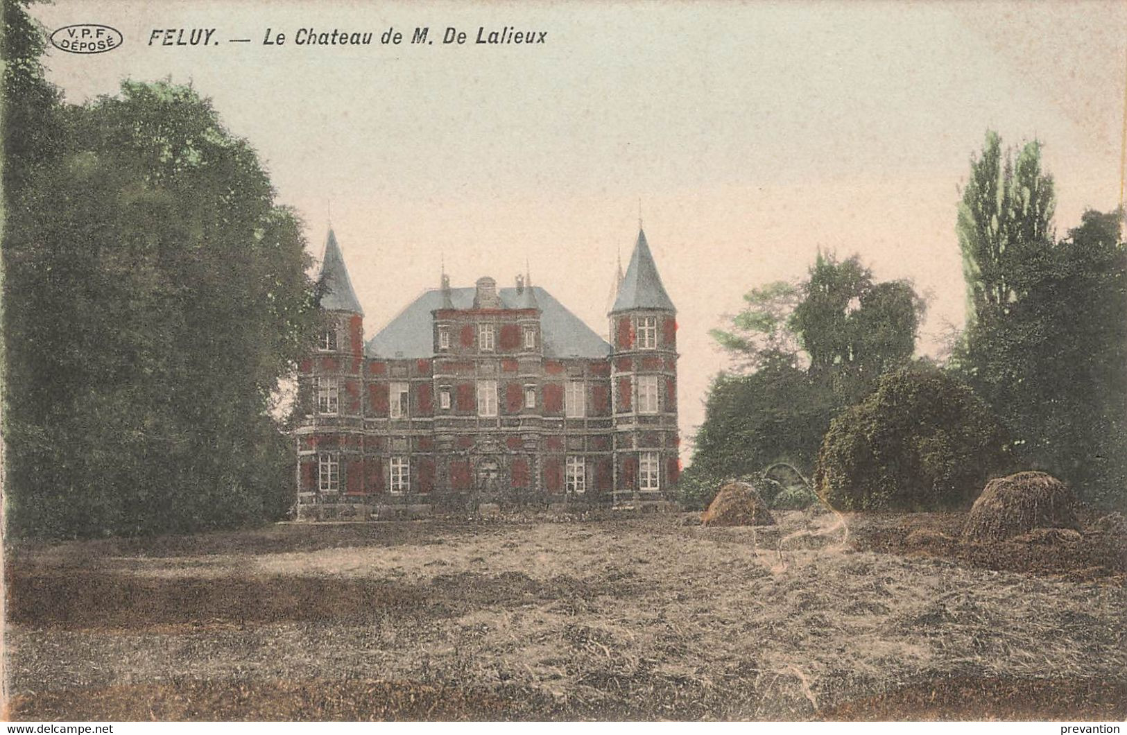 FELUY - Le Château De M. De Lalieux - Carte Colorée - Seneffe