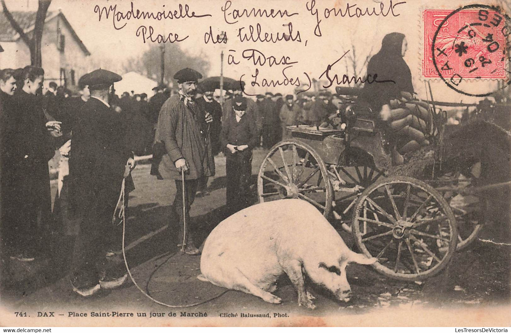 CPA Dax - Place Saint Pierre Un Jour De Marché - Cochon - Cliché Balussaud - Oblitéré A Dax Et Alger En 1904 - Mercados