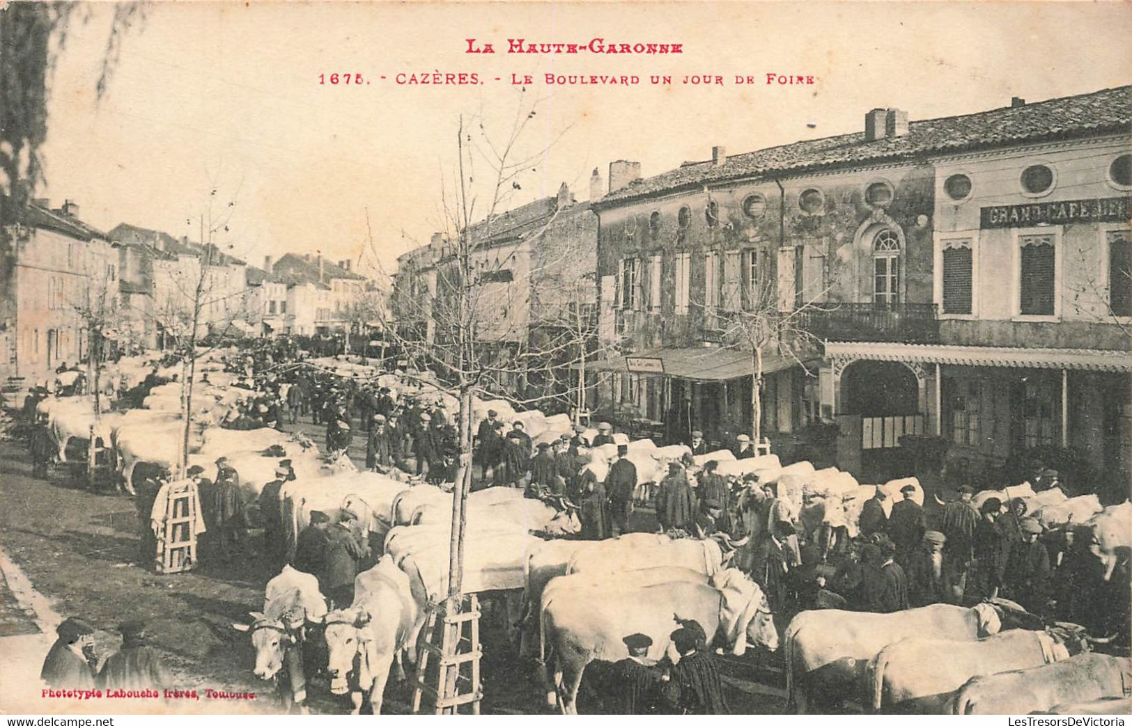 CPA Cazeres - Le Boulevard Un Jour De Foire - Foire Aux Bestiaux - Maquignons - Labouche Freres - Vaches - Kirmes