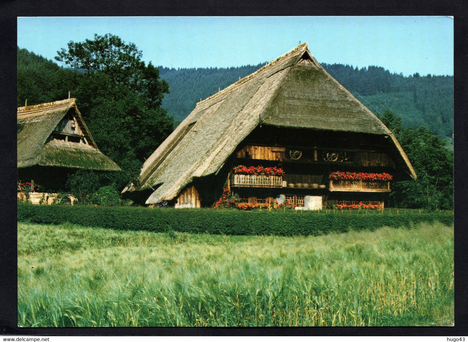 (RECTO / VERSO) VOGTSBAUEMHOF VON 1570 - IM GUTACHTAL - CPSM GF - Gutach (Schwarzwaldbahn)