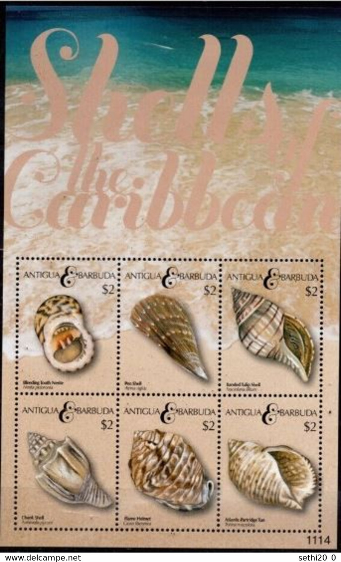 Antigua  Shells /Coquillages MNH - Minéraux