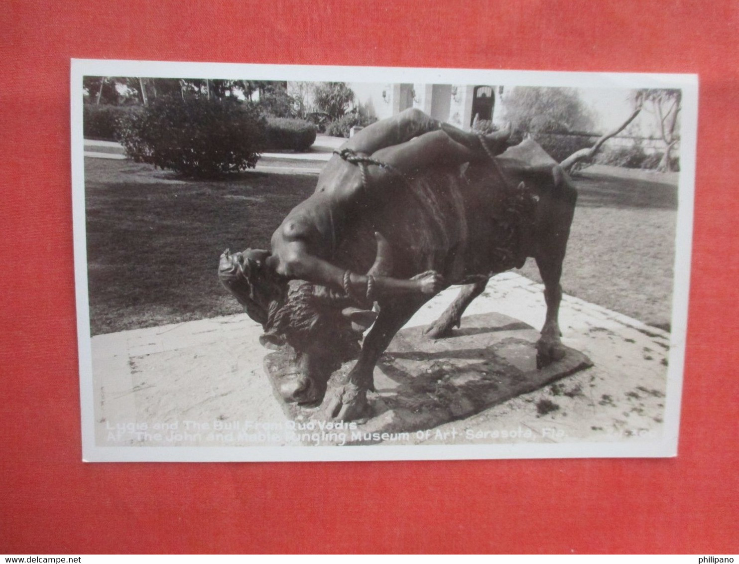 RPPC. Lygia & The Bull Sarasota    Florida >     Ref. 5889 - Sarasota