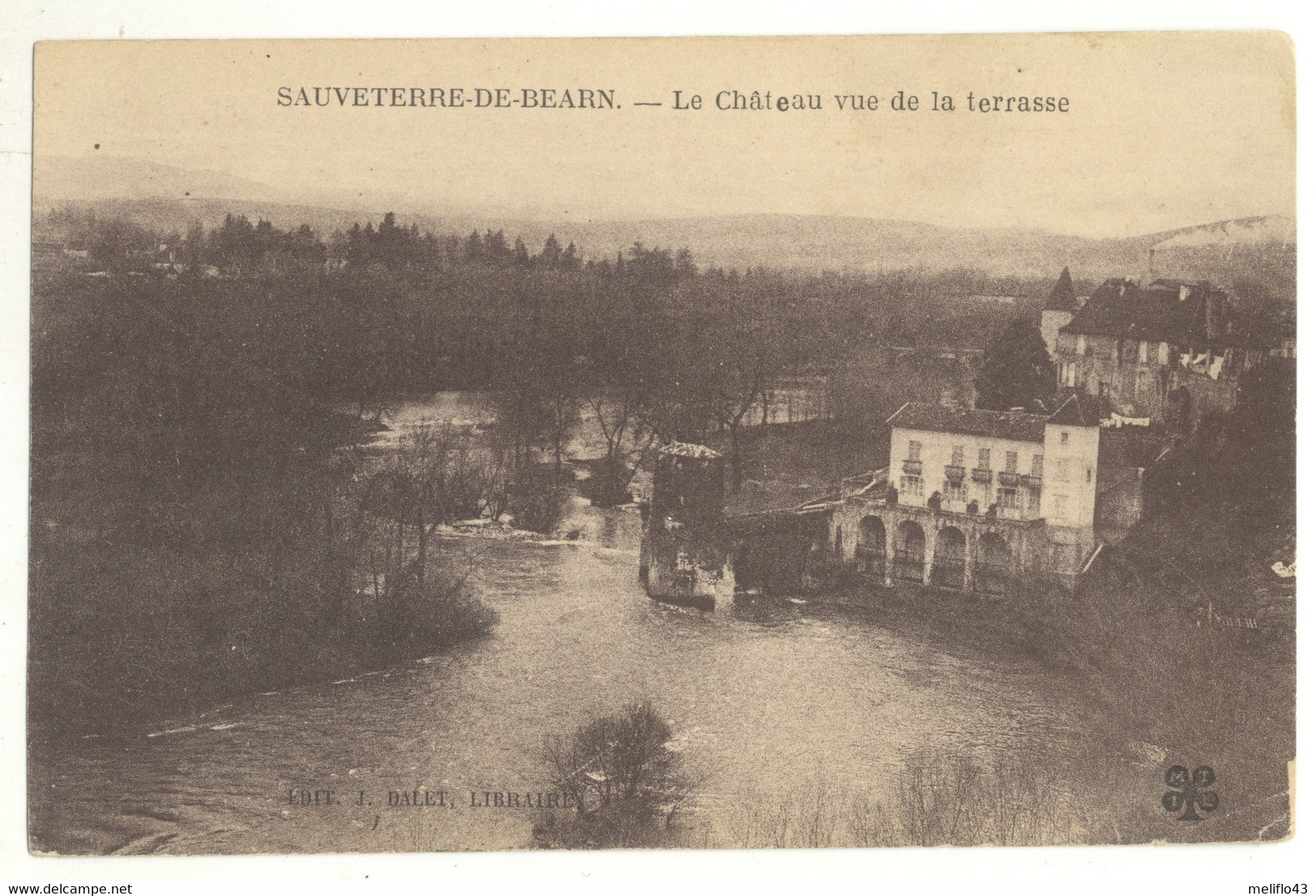 64/ CPA - Sauveterre De Bearn - Chateau Vue De La Terrasse - Sauveterre De Bearn