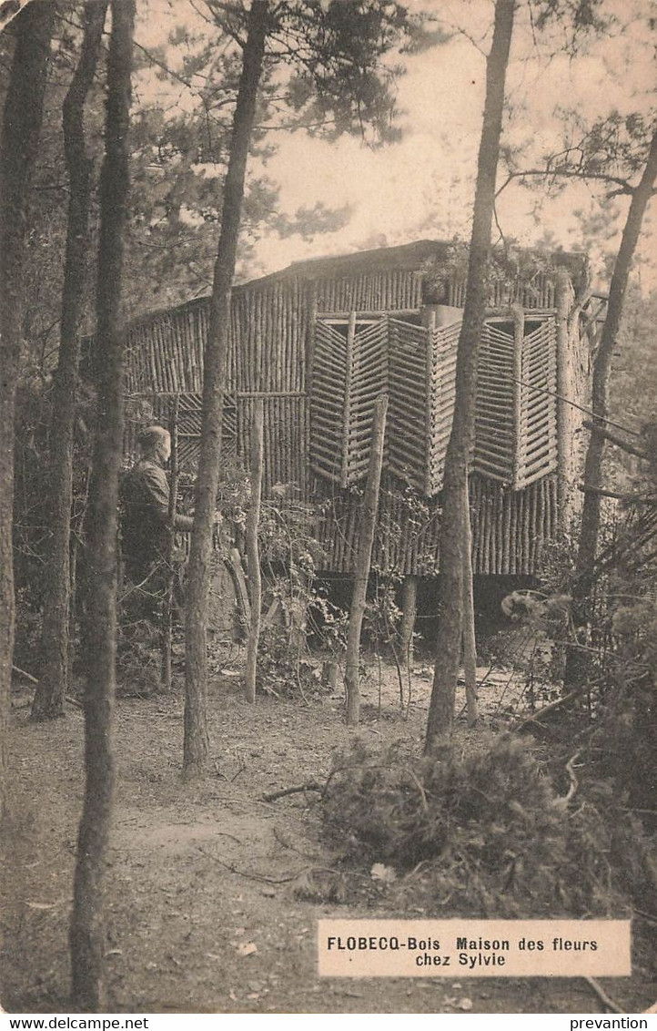 FLOBECQ-Bois - Maison Des Fleurs Chez Sylvie - Carte Circulé En 1921 - Vloesberg