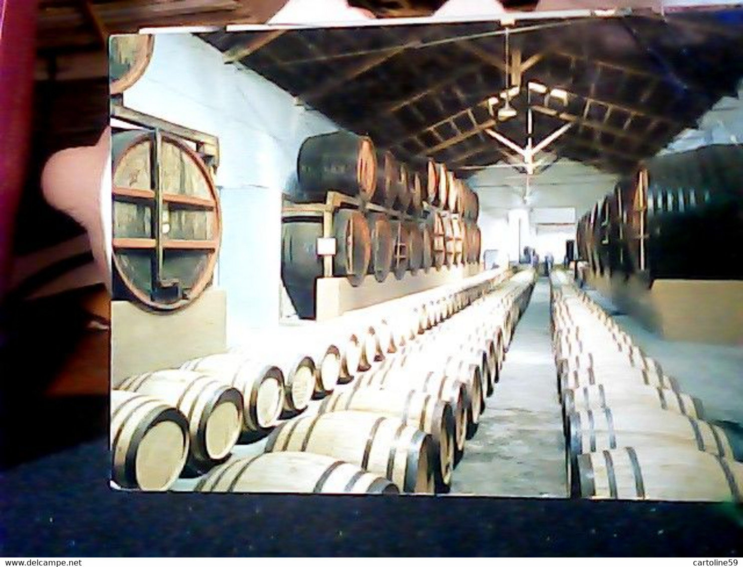 MARSALA - TRAPANI -- CANTINA DI INVECCHIAMENTO DEL VINO - DITTA PELLEGRINO VB1967< JD7154 - Marsala