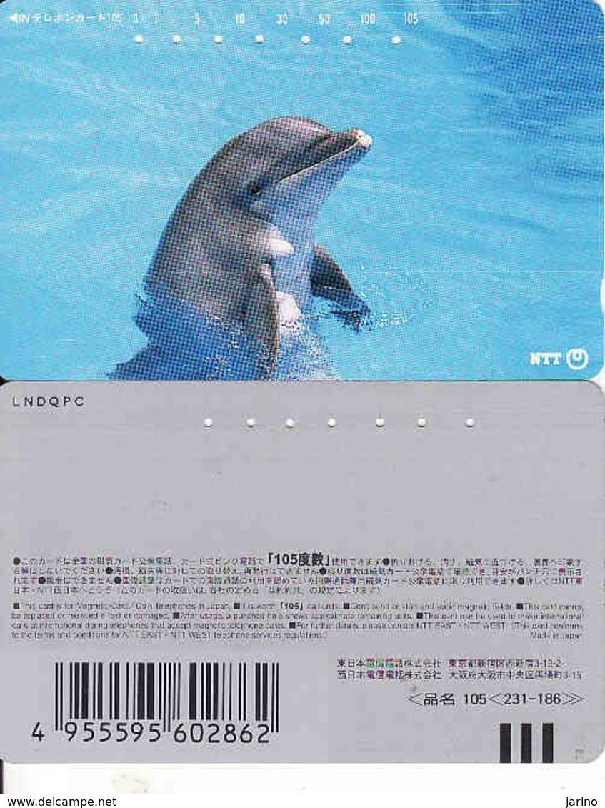 Japan, 105-231-186, Dolphin,  Fauna, Animal - Dauphins