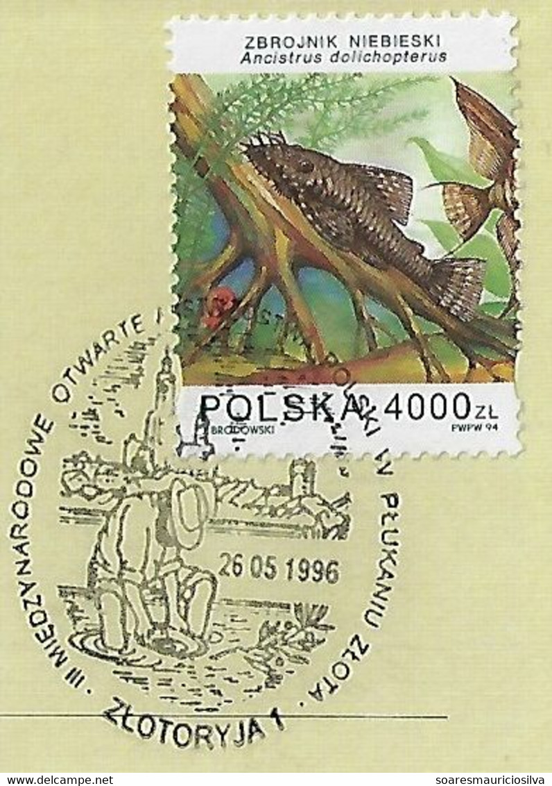 Poland 1996 Card With Commemorative Cancel Showing Man Gold Mining Geology In Zloryja - Minéraux