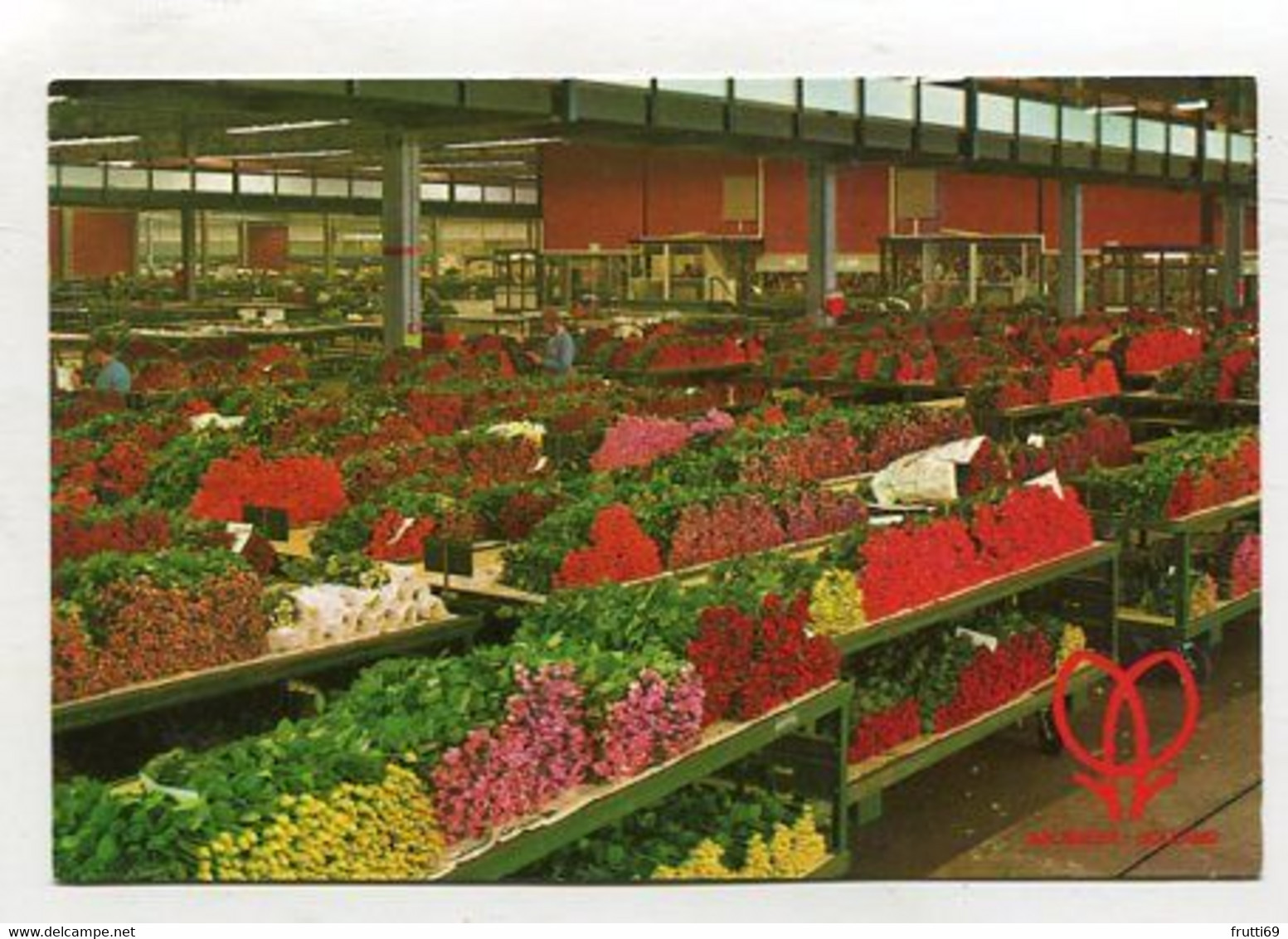 AK 104615 NETHERLANDS - Cuflower Section United Flower Markets Aalsmeer - Aalsmeer