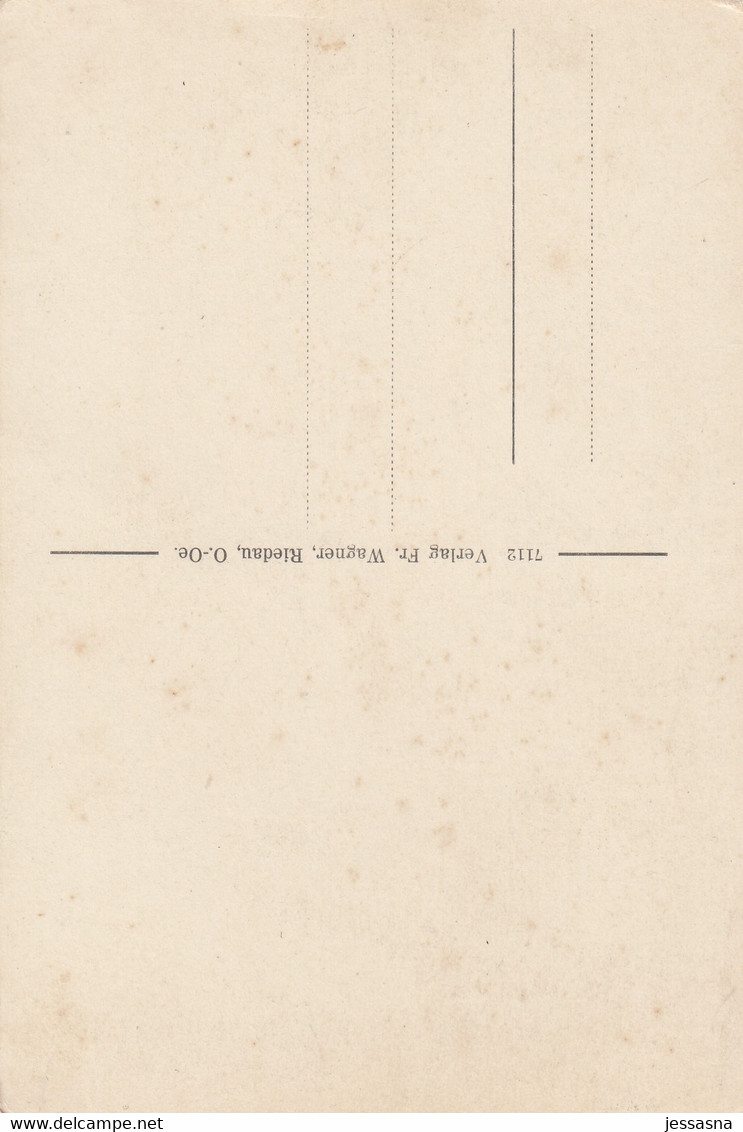 AK - RIEDAU Im Innviertel - Ortspanorama - Gasthof - Strassenpartie 1920 - Schärding
