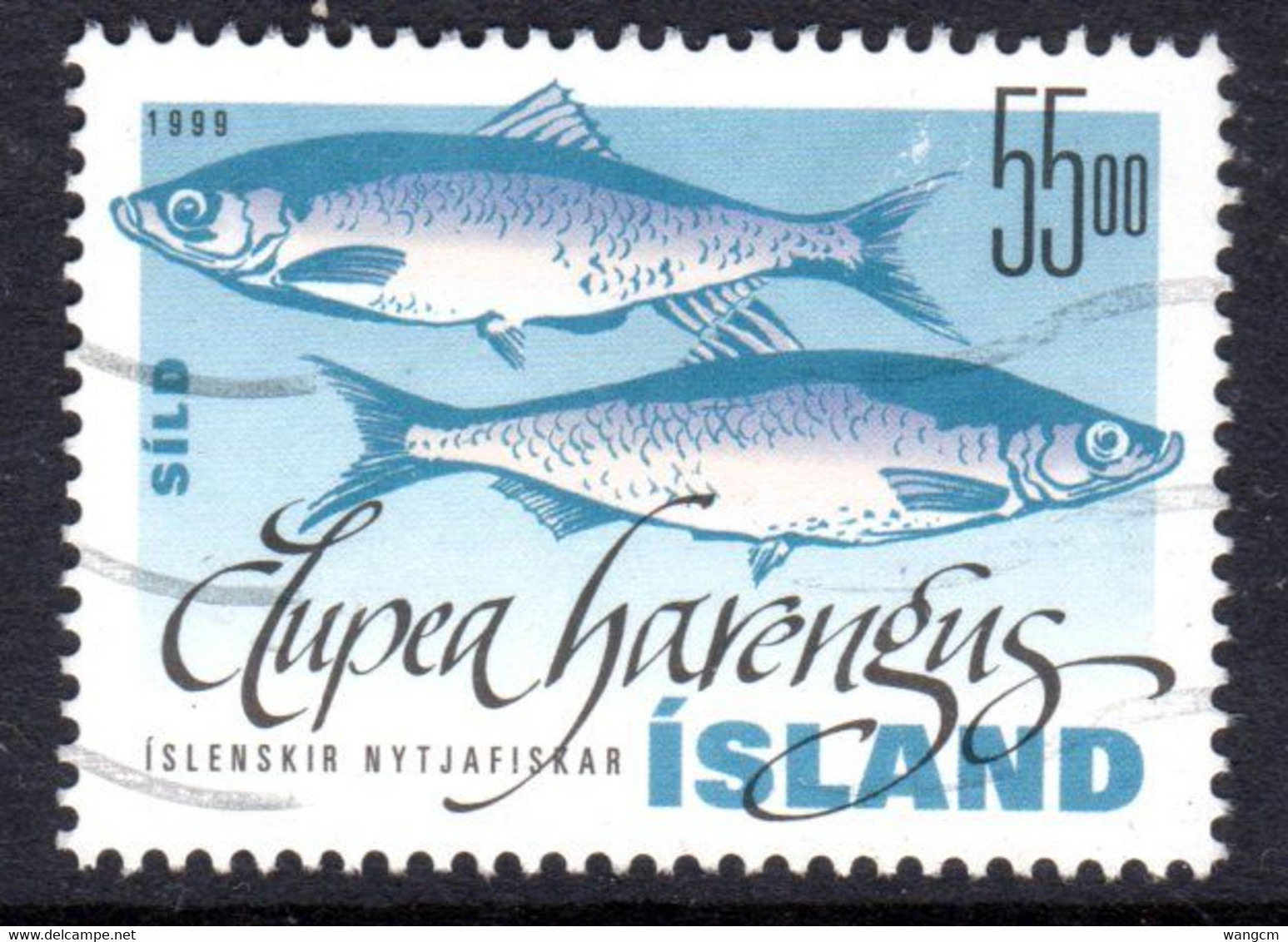 Iceland 1999 55k Fish Fine Used - Used Stamps