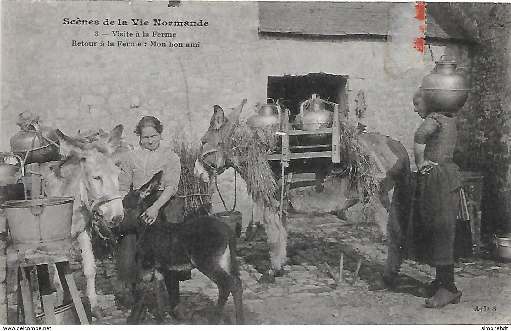 NORMANDIE - Visite à La Ferme - Anes - Fermes