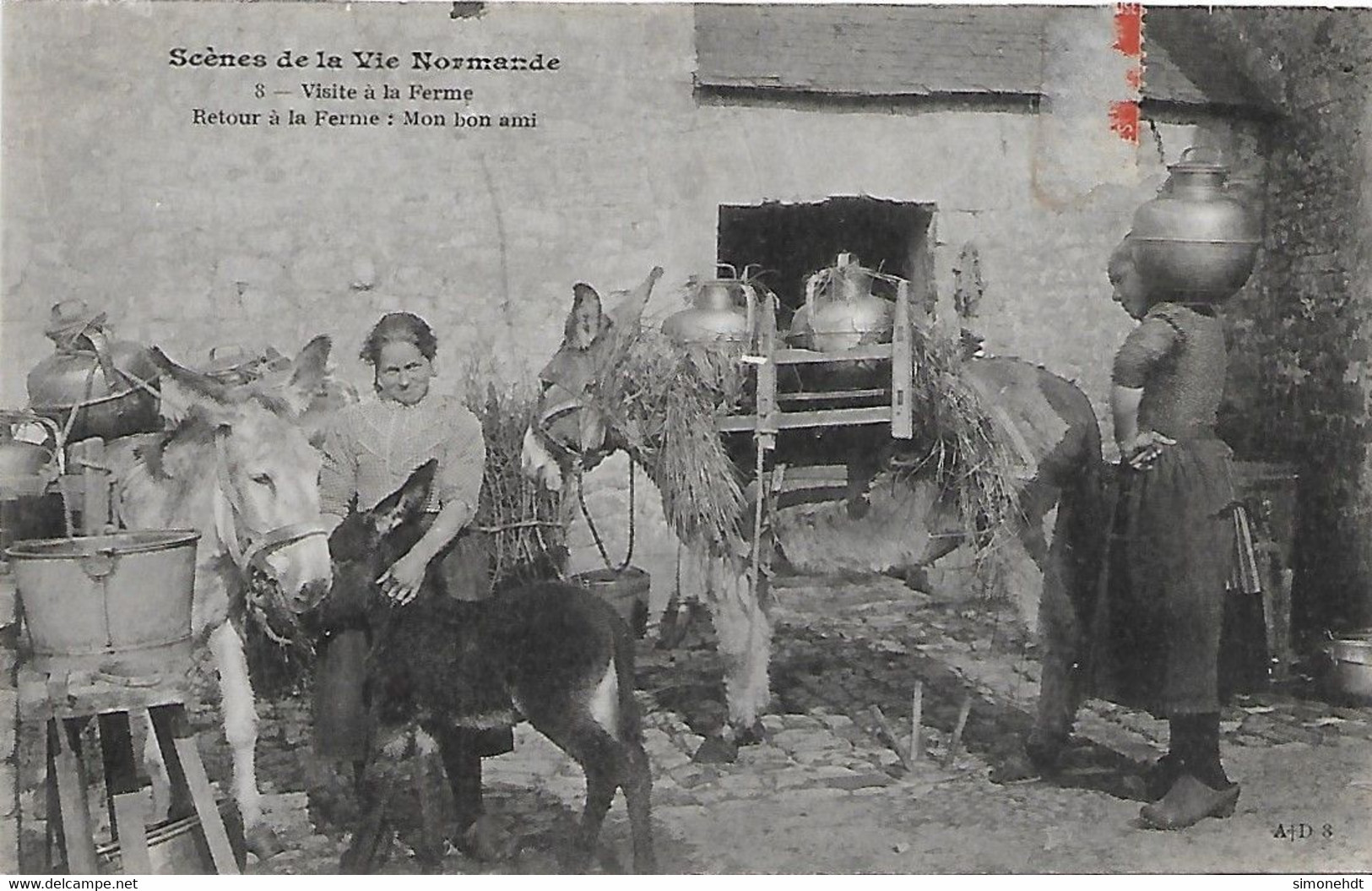 NORMANDIE - Visite à La Ferme - Anes - Bauernhöfe